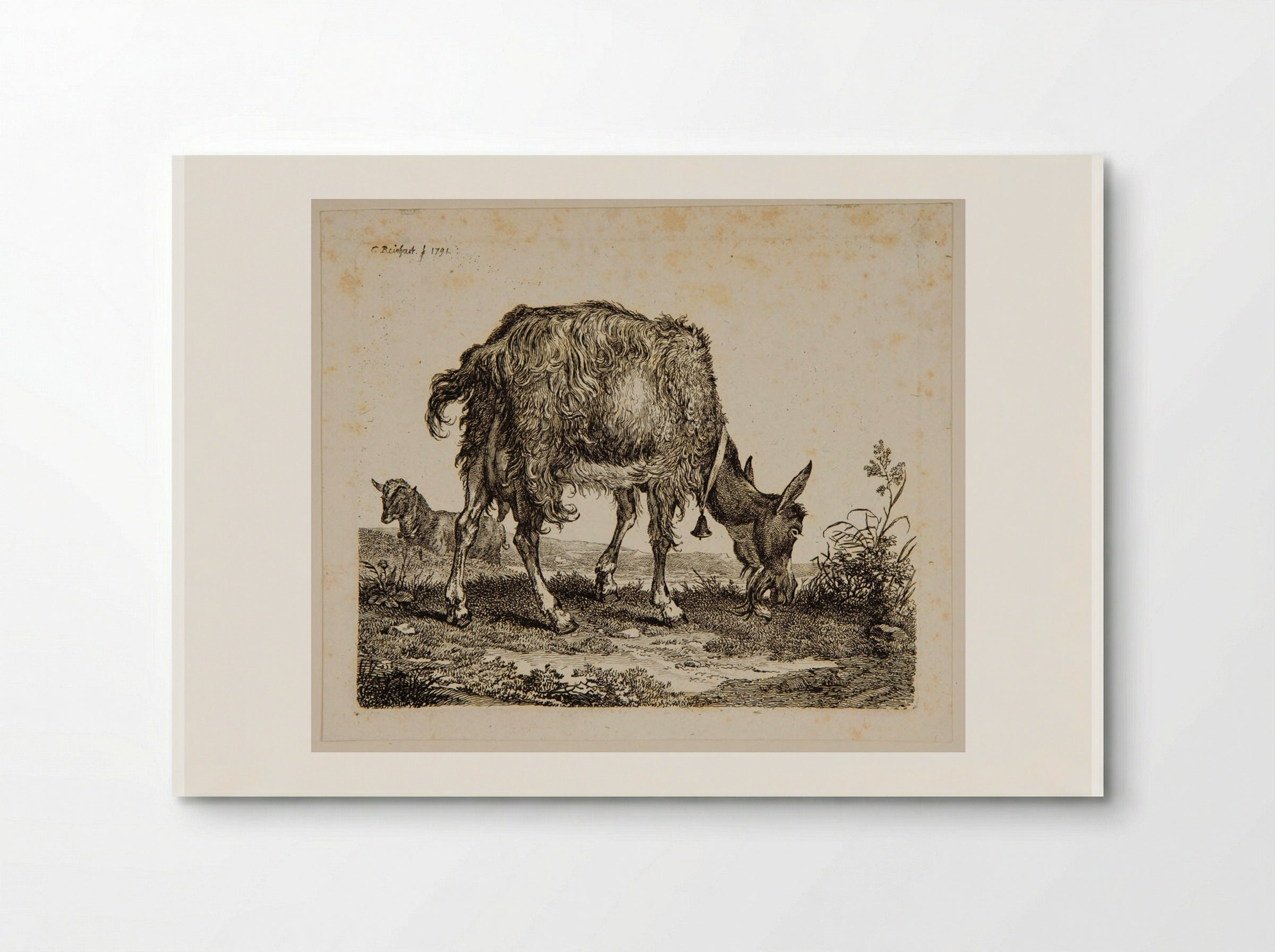 Goat Grazing - Johann Christian Reinhart - Poster