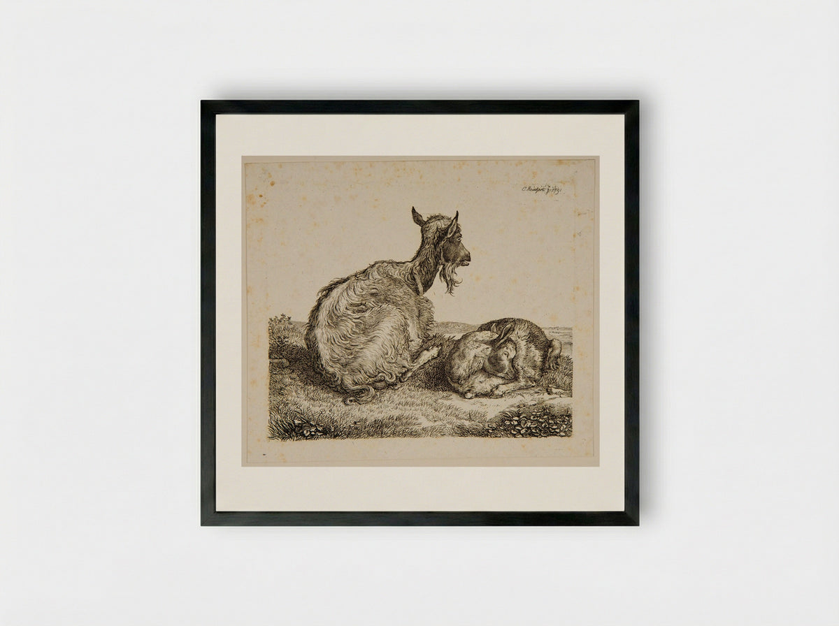Goat and Kid - Johann Christian Reinhart - Framed Print Black