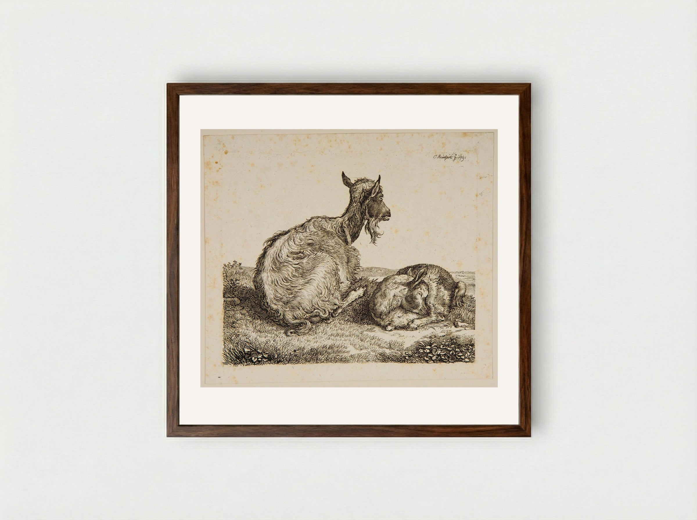 Goat and Kid - Johann Christian Reinhart - Framed Print Dark Wood