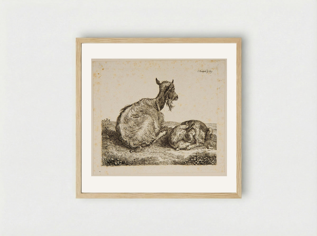 Goat and Kid - Johann Christian Reinhart - Framed Print Wood