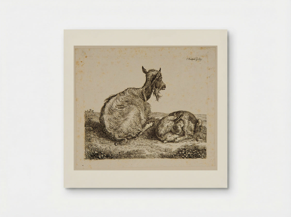 Goat and Kid - Johann Christian Reinhart - Poster