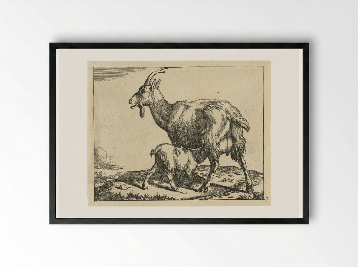 Goat with Suckling Kid - Marcus de Bye - Framed Print Black