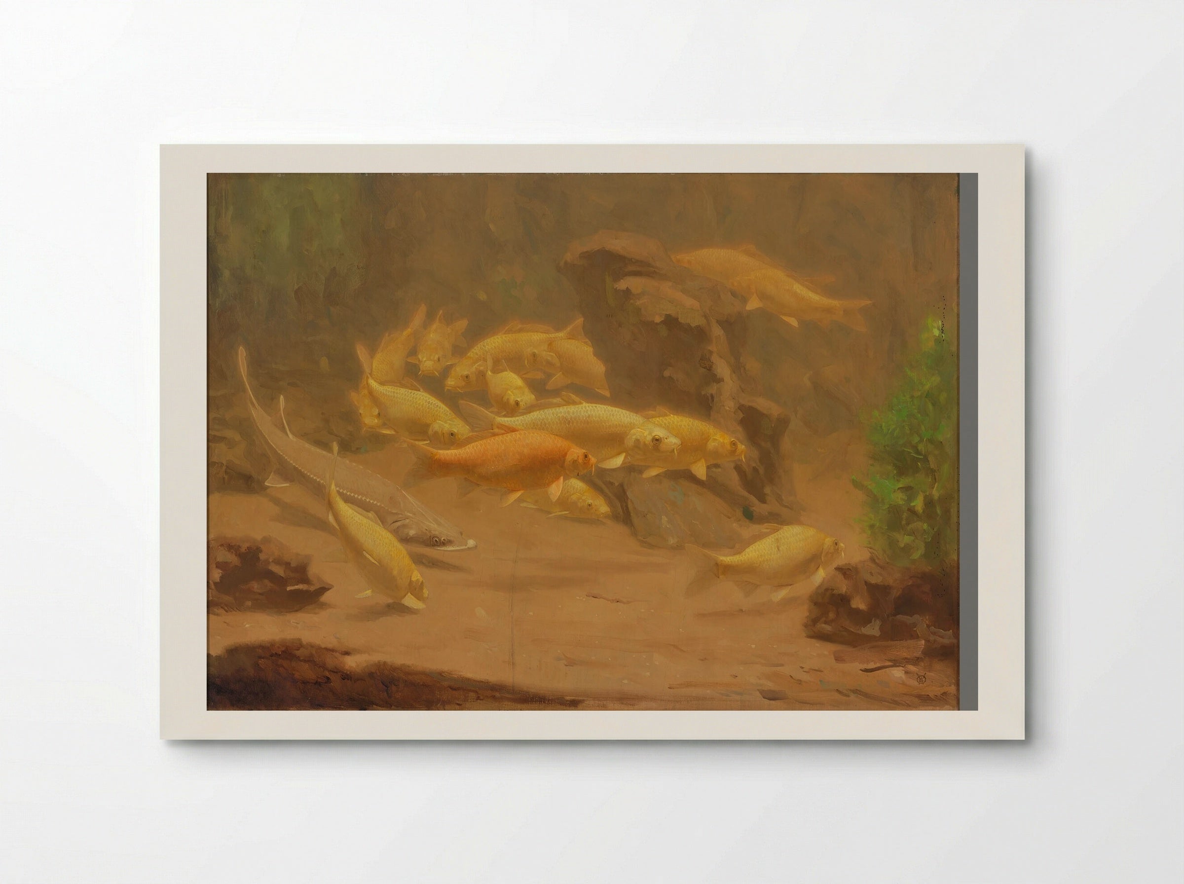 Golden Carp and Sturgeon - Gerrit Willem Dijsselhof - Poster