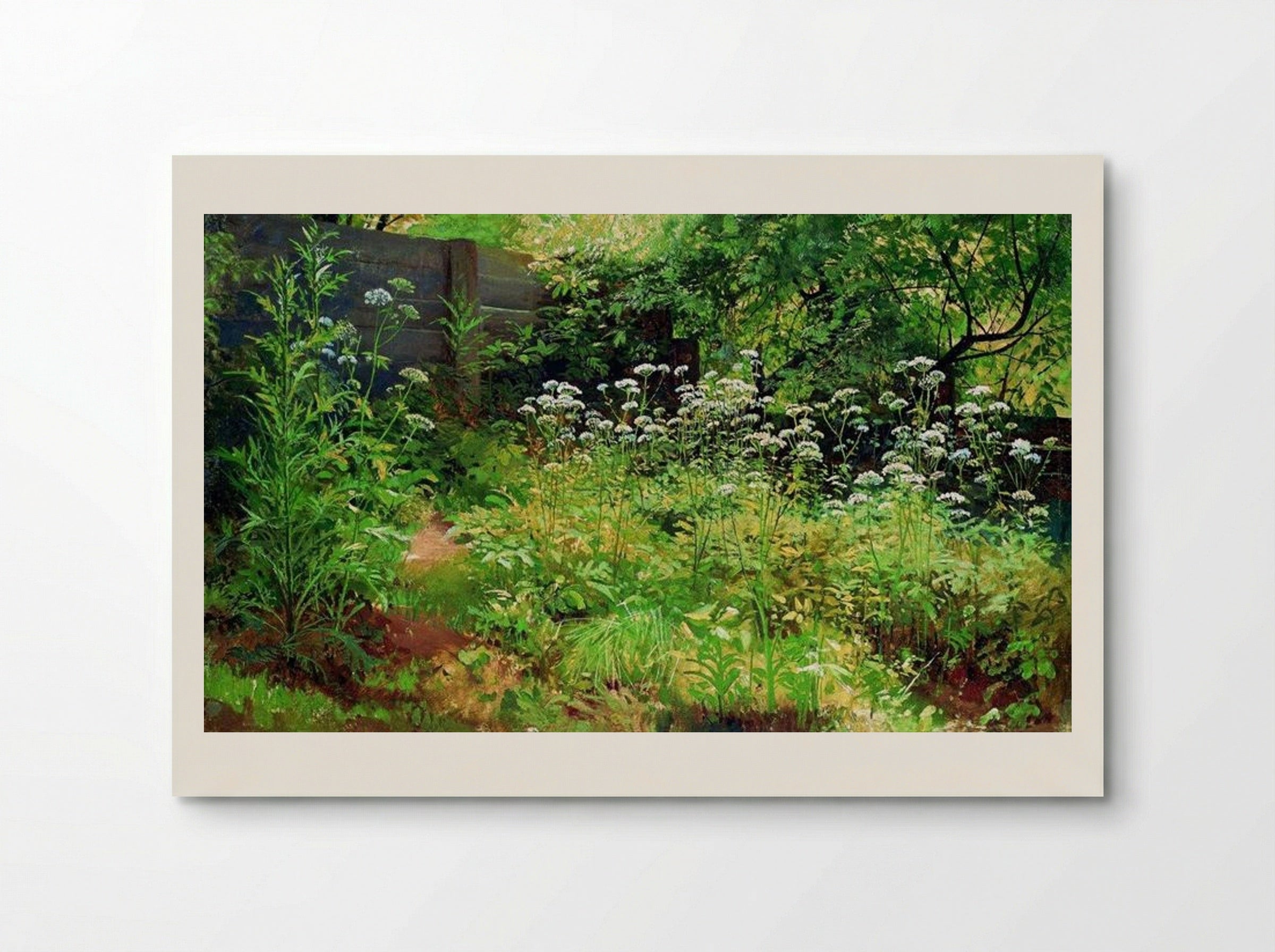 Goutweed-grass. Pargolovo - Ivan Shishkin - Poster