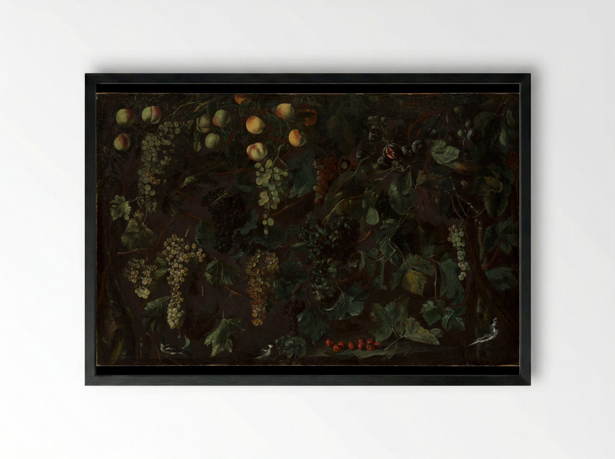 Grape Vines and Fruit, with Three Wagtails - Bartolomeo Cavarozzi - Framed Print Black