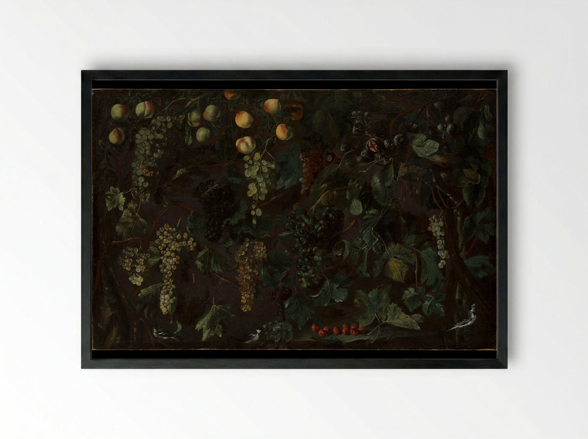Grape Vines and Fruit, with Three Wagtails - Bartolomeo Cavarozzi - Framed Print Black