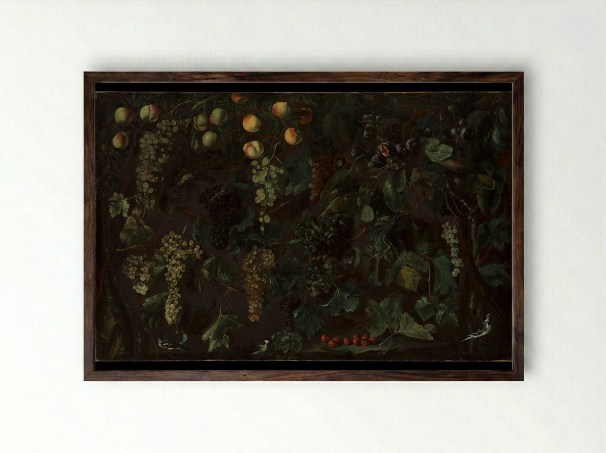 Grape Vines and Fruit, with Three Wagtails - Bartolomeo Cavarozzi - Framed Print Dark Wood