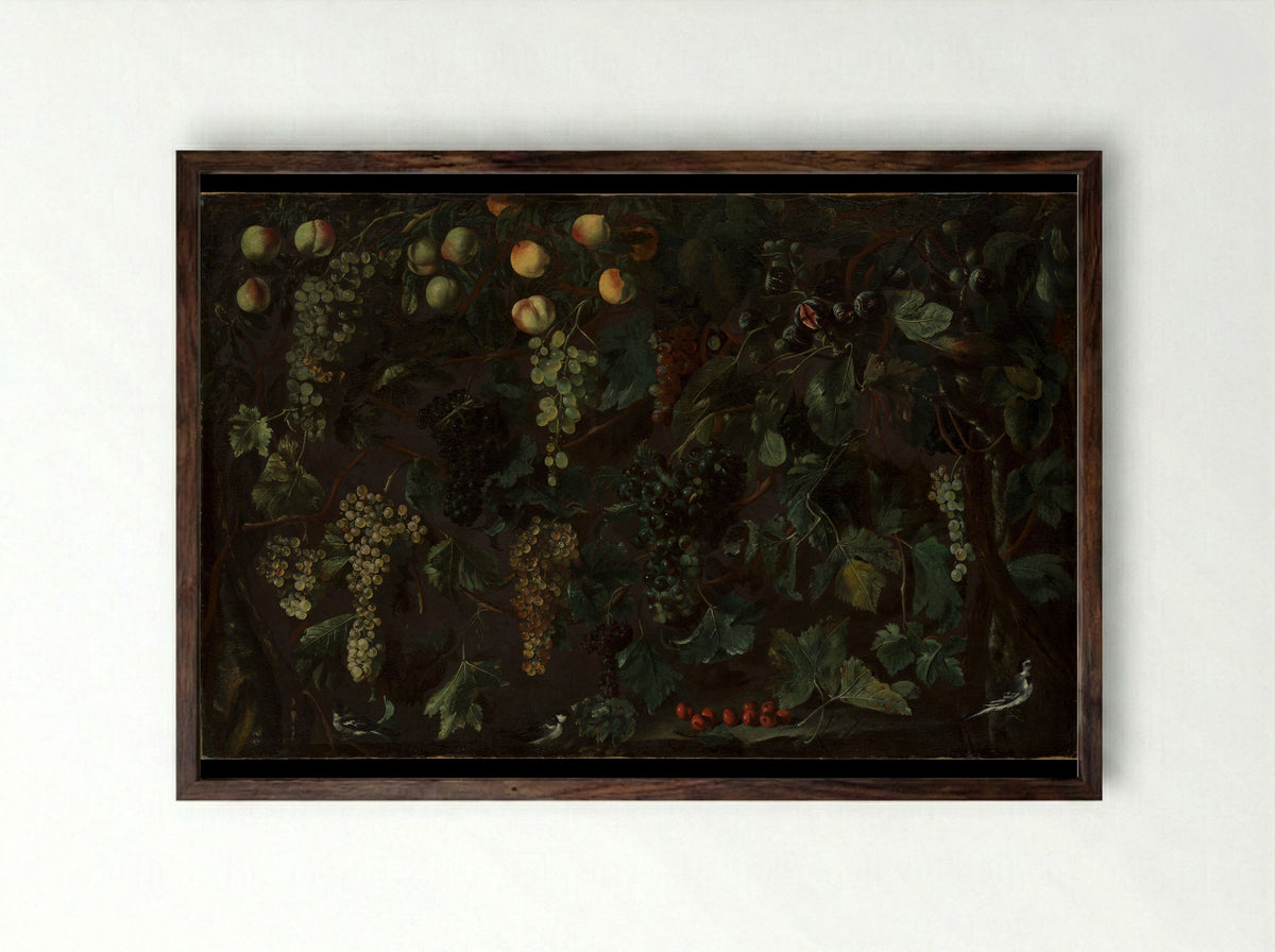 Grape Vines and Fruit, with Three Wagtails - Bartolomeo Cavarozzi - Framed Print Dark Wood