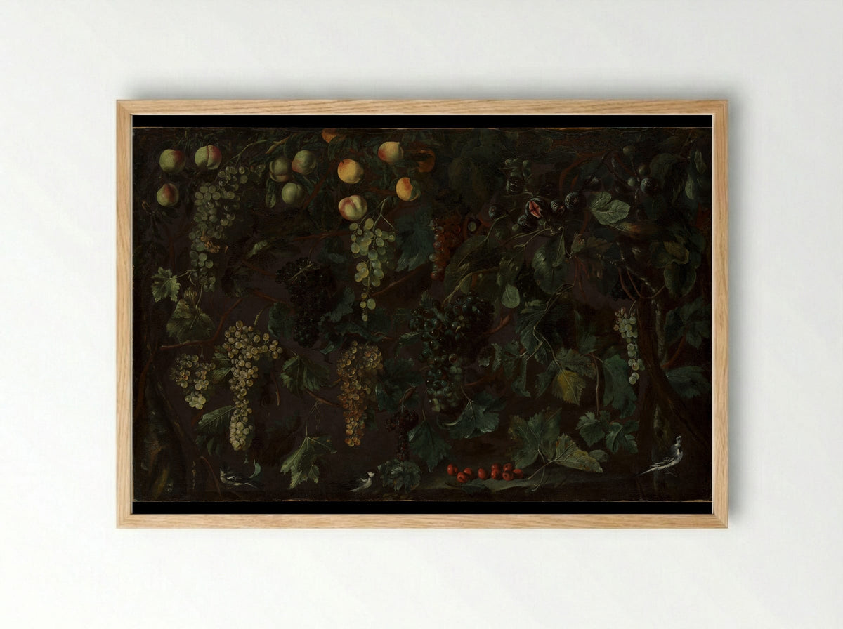 Grape Vines and Fruit, with Three Wagtails - Bartolomeo Cavarozzi - Framed Print Wood