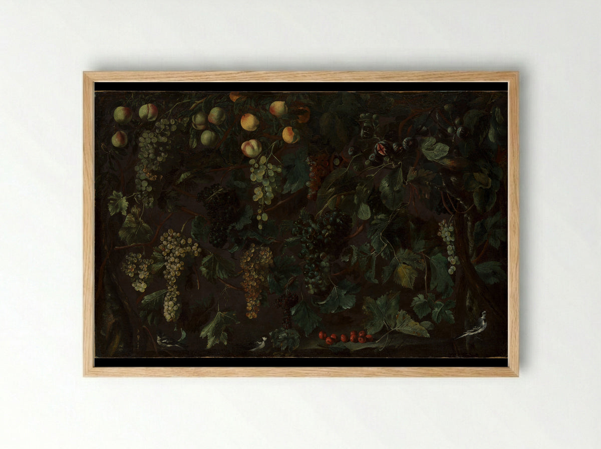 Grape Vines and Fruit, with Three Wagtails - Bartolomeo Cavarozzi - Framed Print Wood