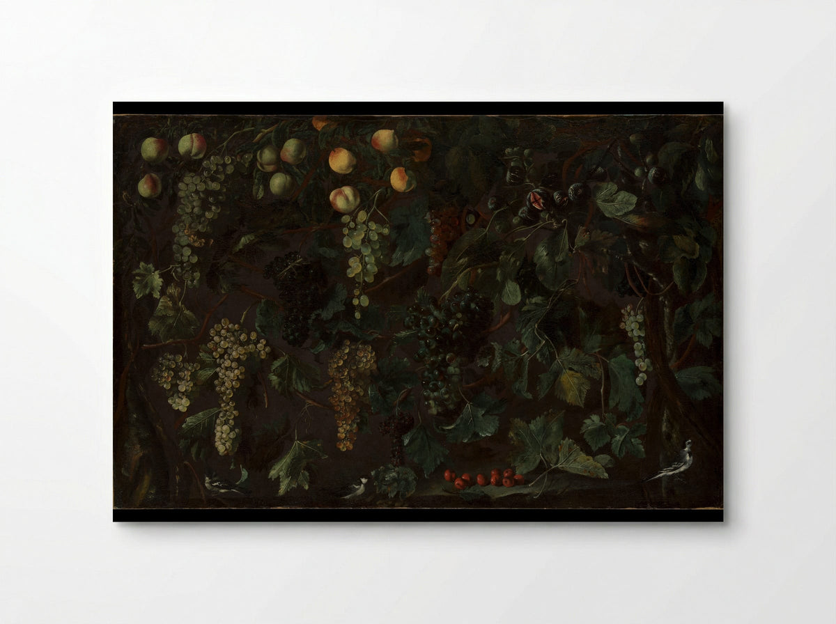 Grape Vines and Fruit, with Three Wagtails - Bartolomeo Cavarozzi - Poster