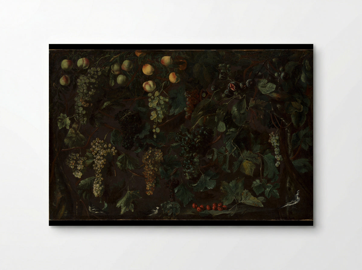 Grape Vines and Fruit, with Three Wagtails - Bartolomeo Cavarozzi - Poster