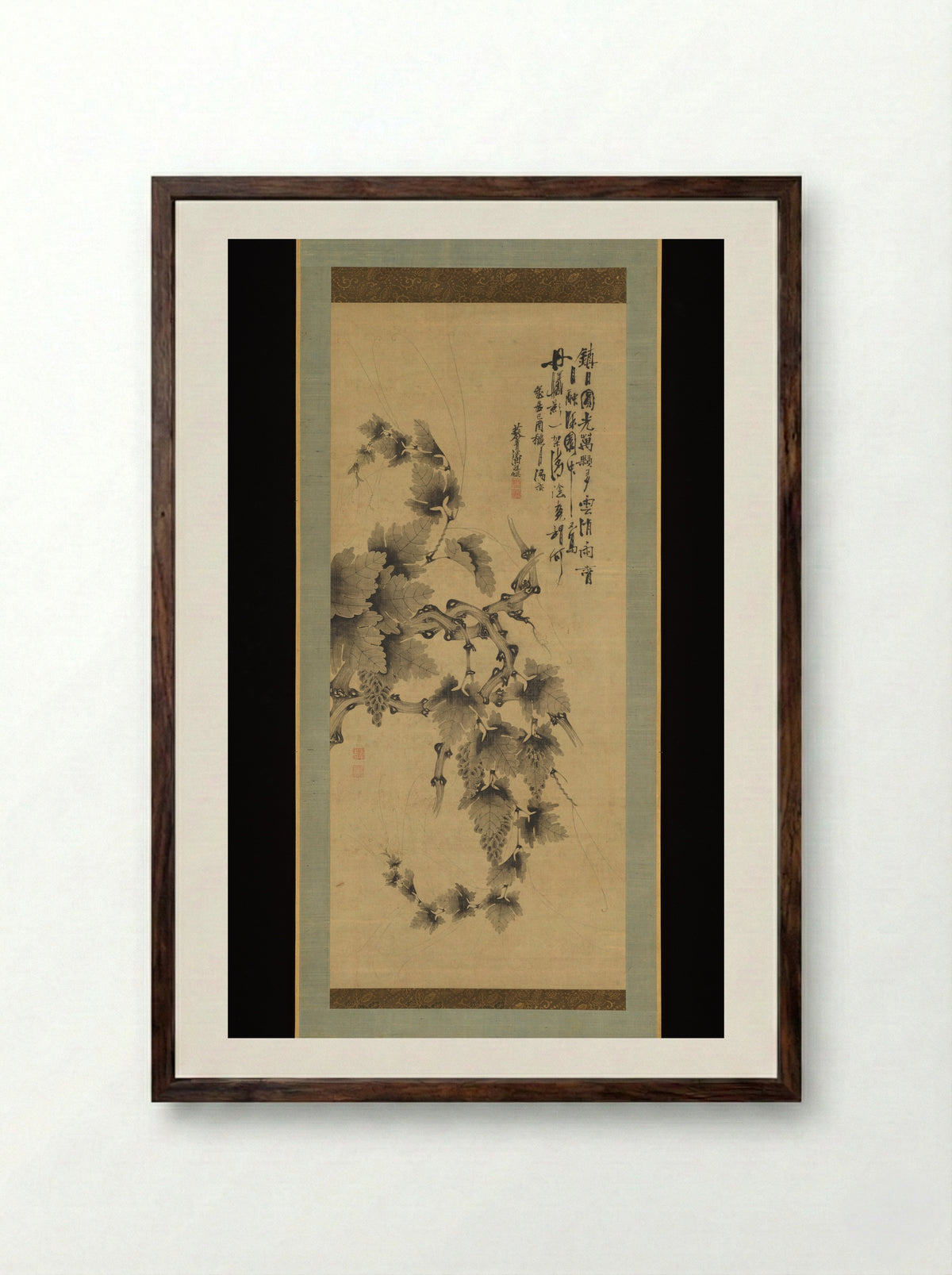 Grapevine - Ban Jogon - Framed Print Dark Wood