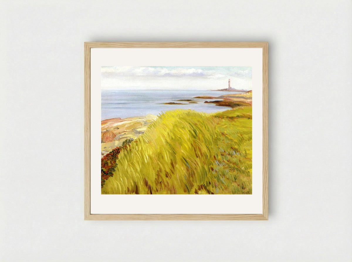 Grassy Dunes, Gloucester - John French Sloan - Framed Print Wood