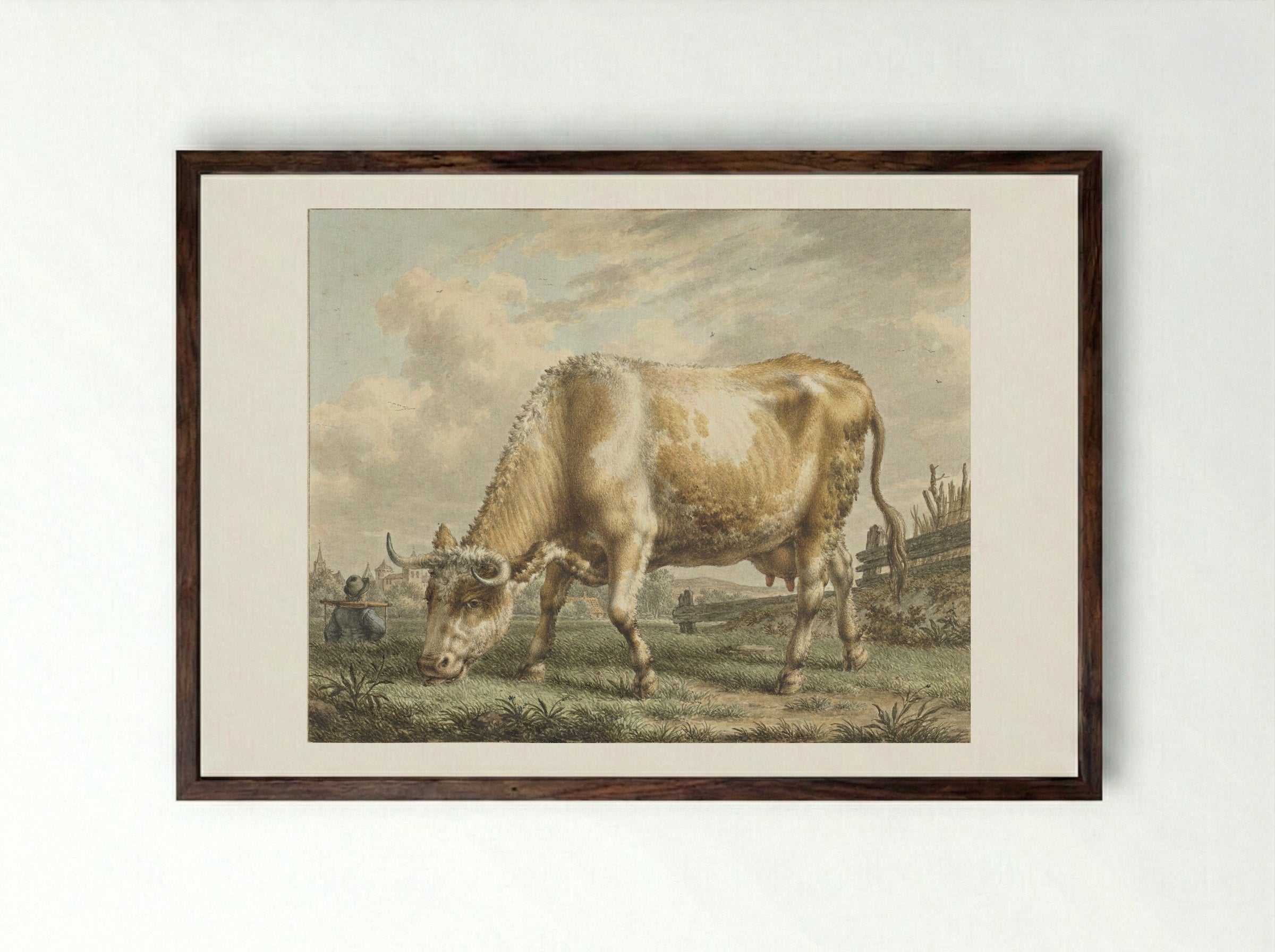 Grazende koe - Jacob Cats - Framed Print Dark Wood