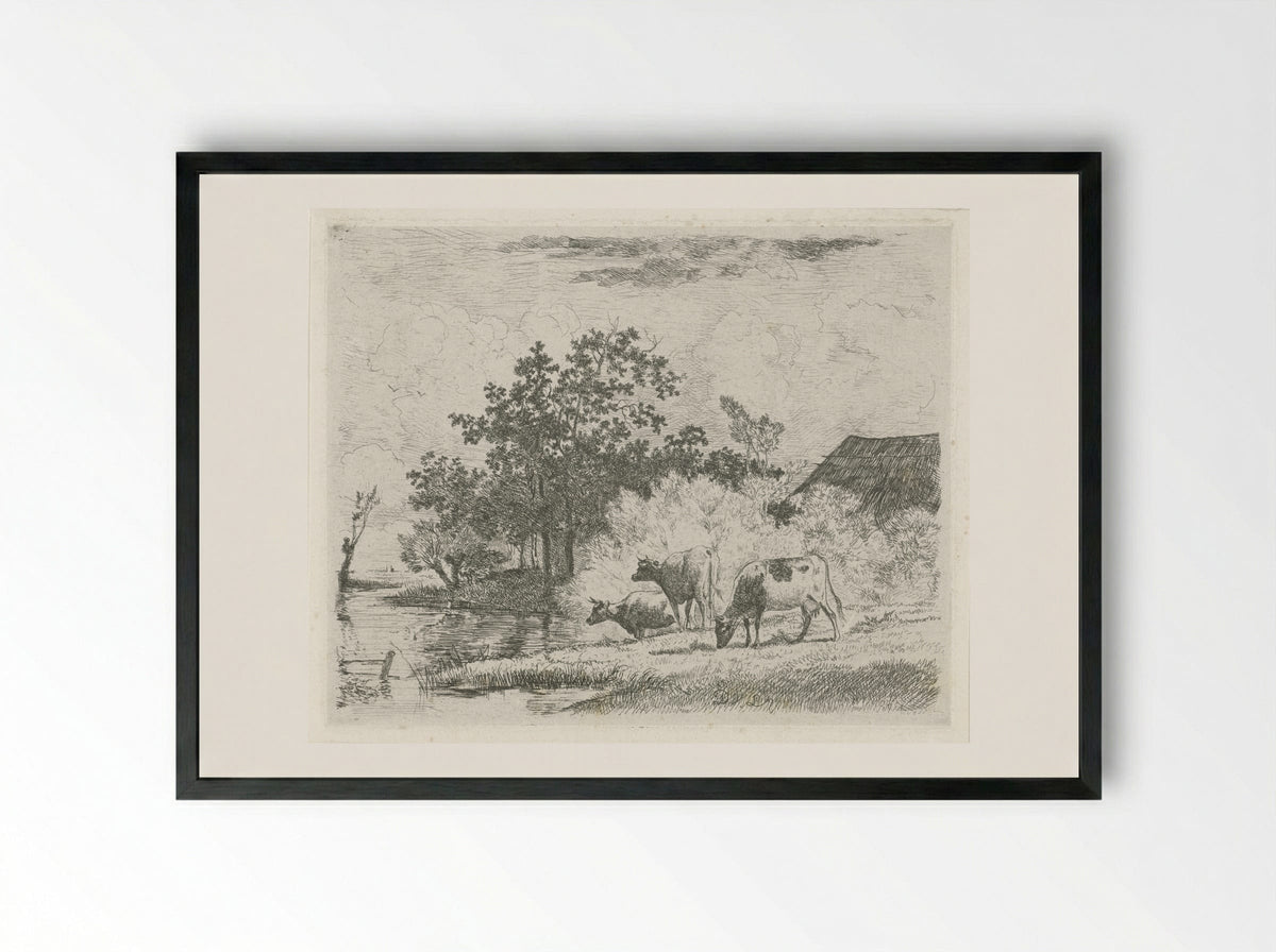 Grazende koeien bij beek - Dirk van Lokhorst - Framed Print Black