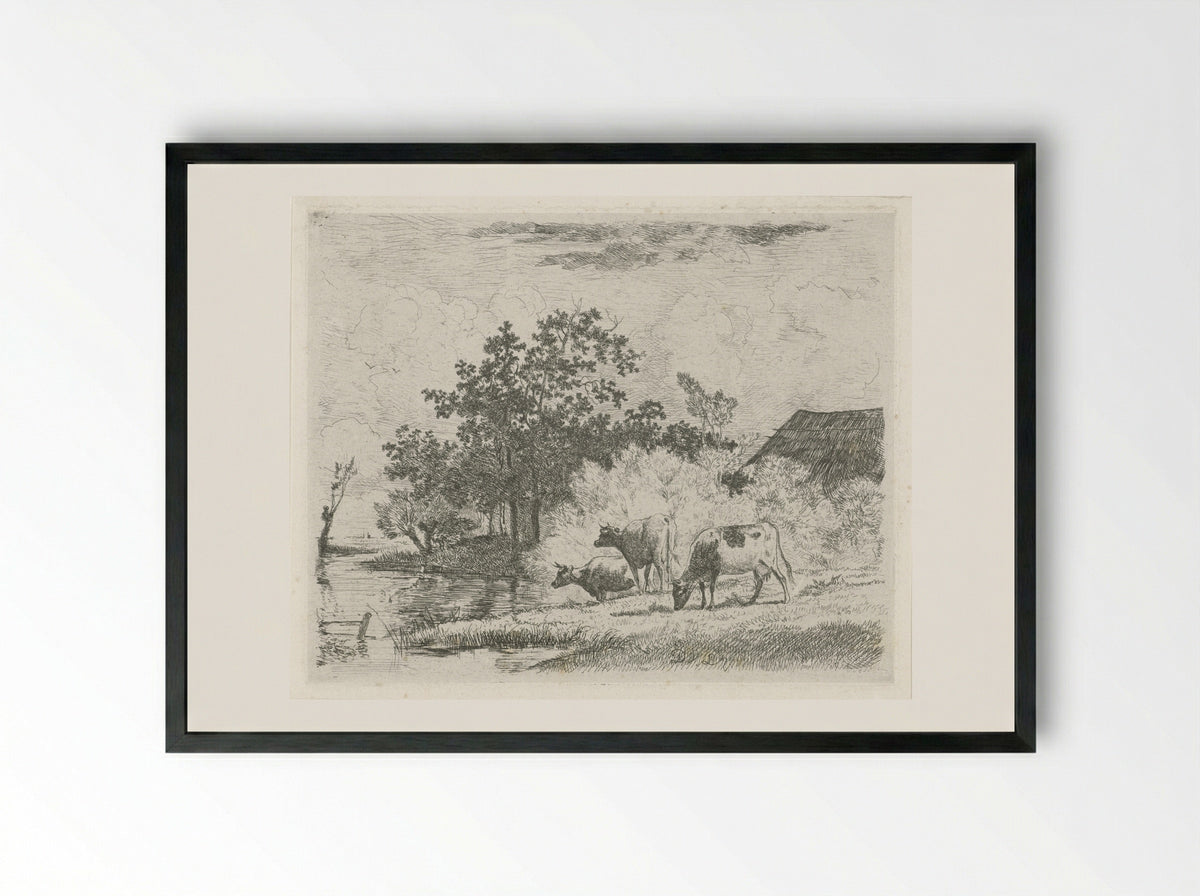 Grazende koeien bij beek - Dirk van Lokhorst - Framed Print Black