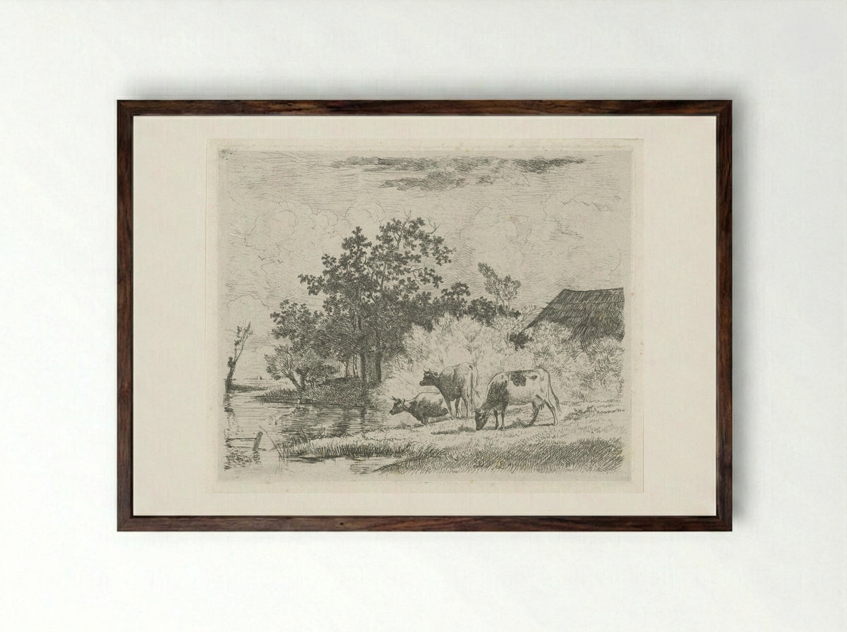 Grazende koeien bij beek - Dirk van Lokhorst - Framed Print Dark Wood