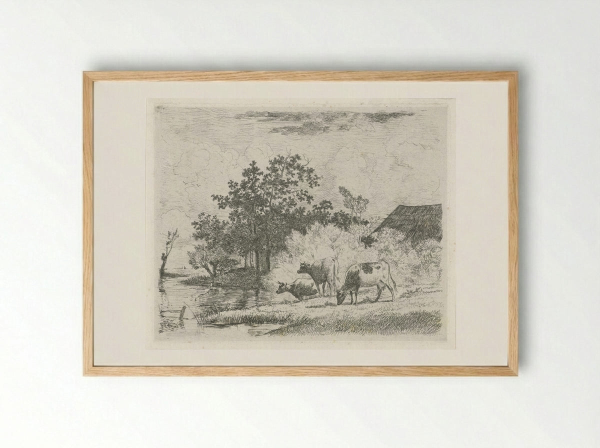 Grazende koeien bij beek - Dirk van Lokhorst - Framed Print Wood