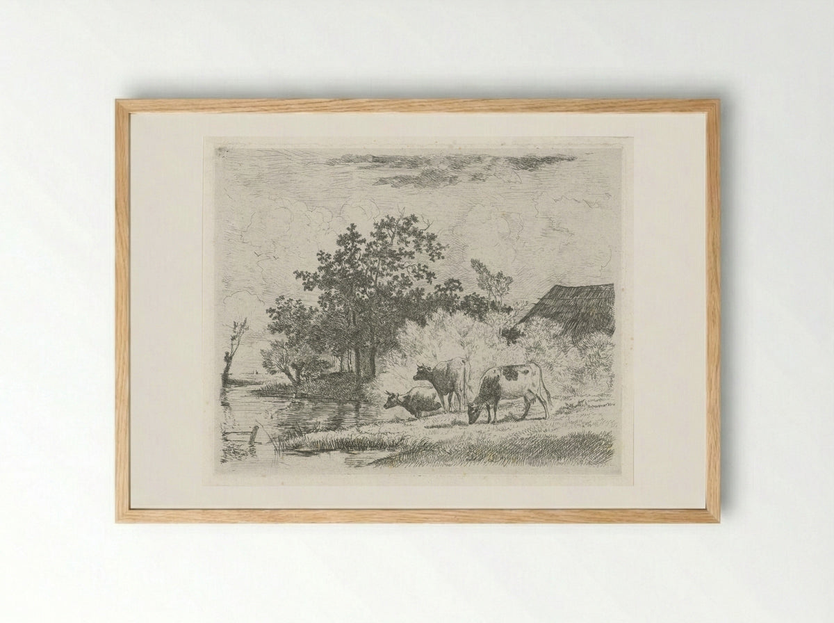Grazende koeien bij beek - Dirk van Lokhorst - Framed Print Wood