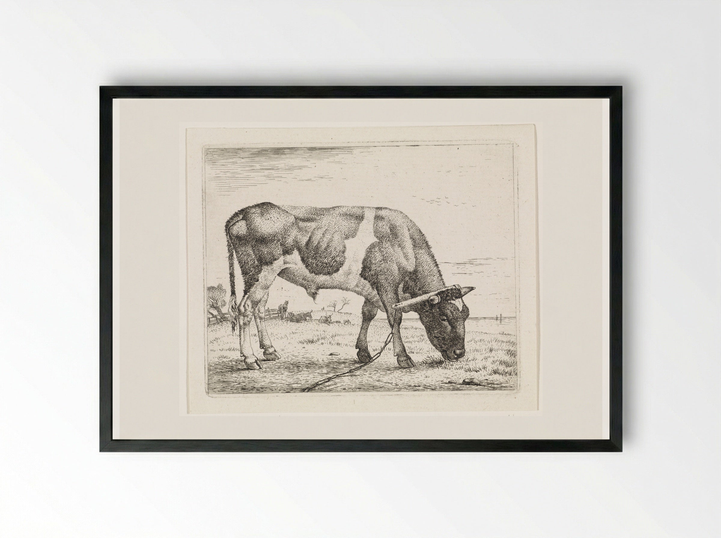 Grazende os met een juk - Wouter Johannes van Troostwijk - Framed Print Black