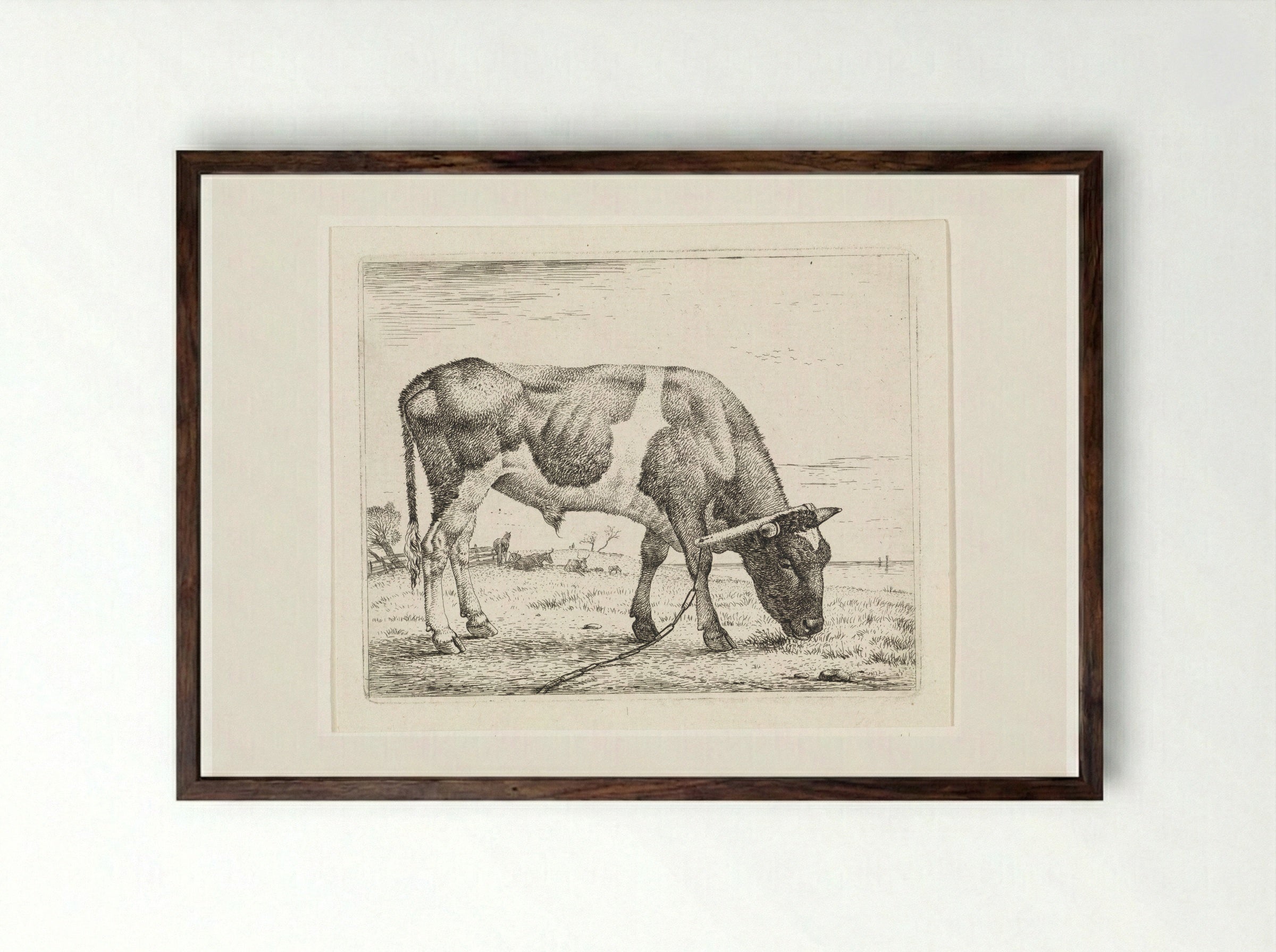 Grazende os met een juk - Wouter Johannes van Troostwijk - Framed Print Dark Wood