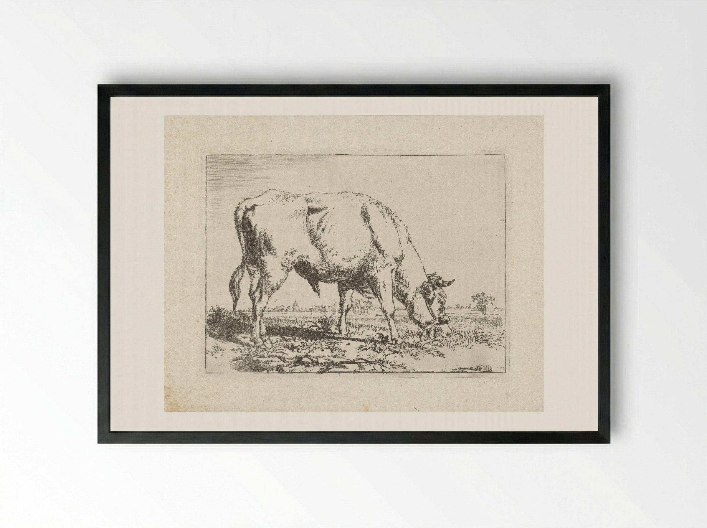 Grazende stier - Pieter Gerardus van Os - Framed Print Black