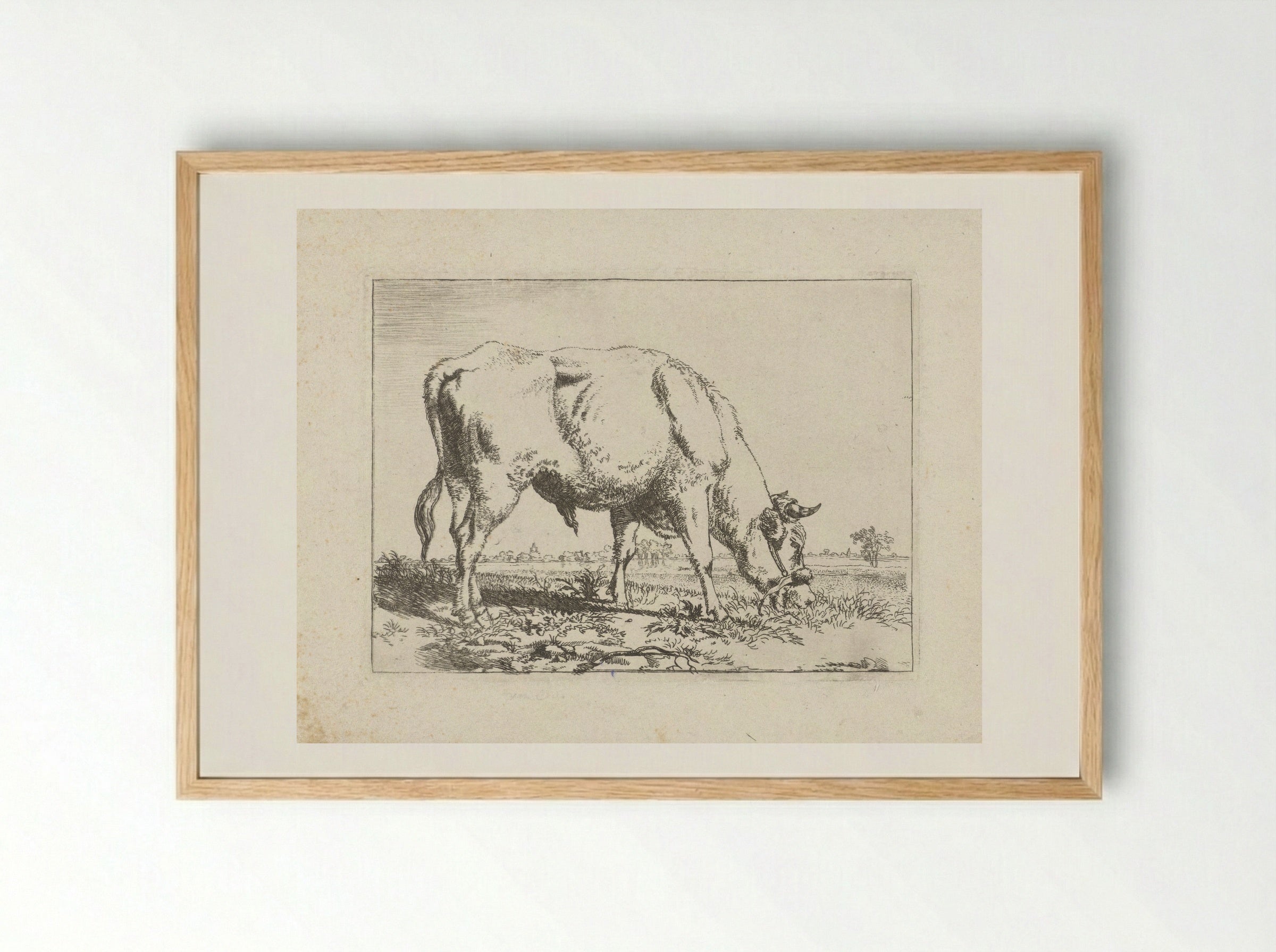 Grazende stier - Pieter Gerardus van Os - Framed Print Wood