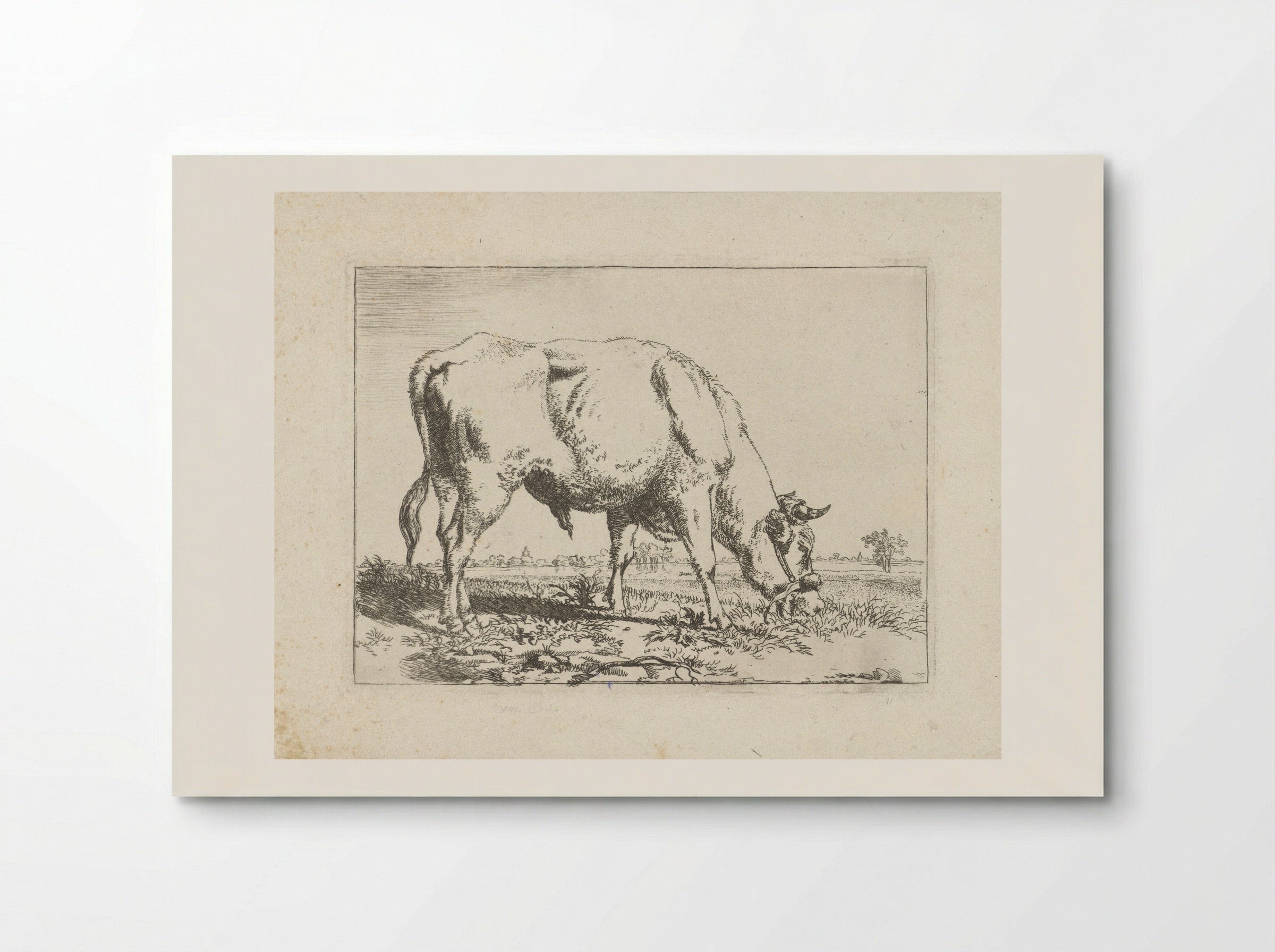 Grazende stier - Pieter Gerardus van Os - Poster
