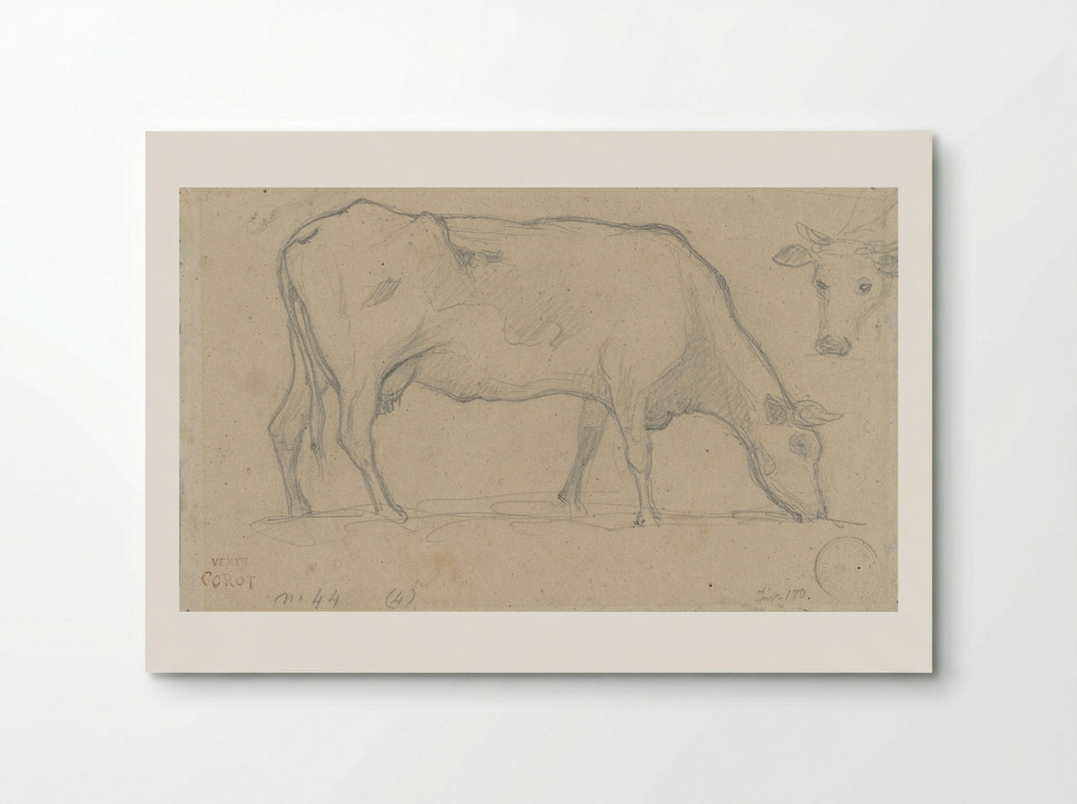 Grazing Cow with Study of a Cow's Head - Camille Corot - Poster