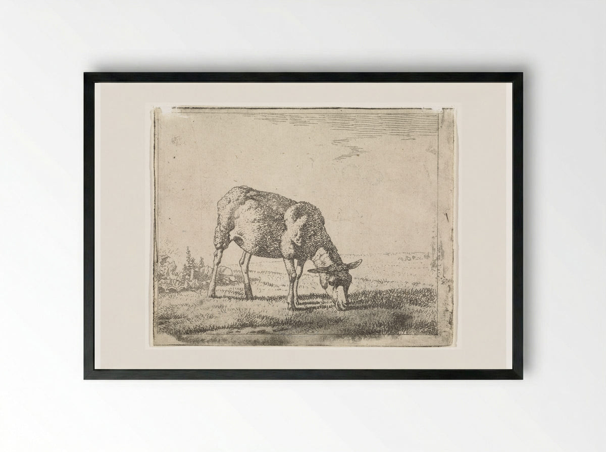 Grazing Sheep Facing Right - Wouter Johannes van Troostwijk - Framed Print Black