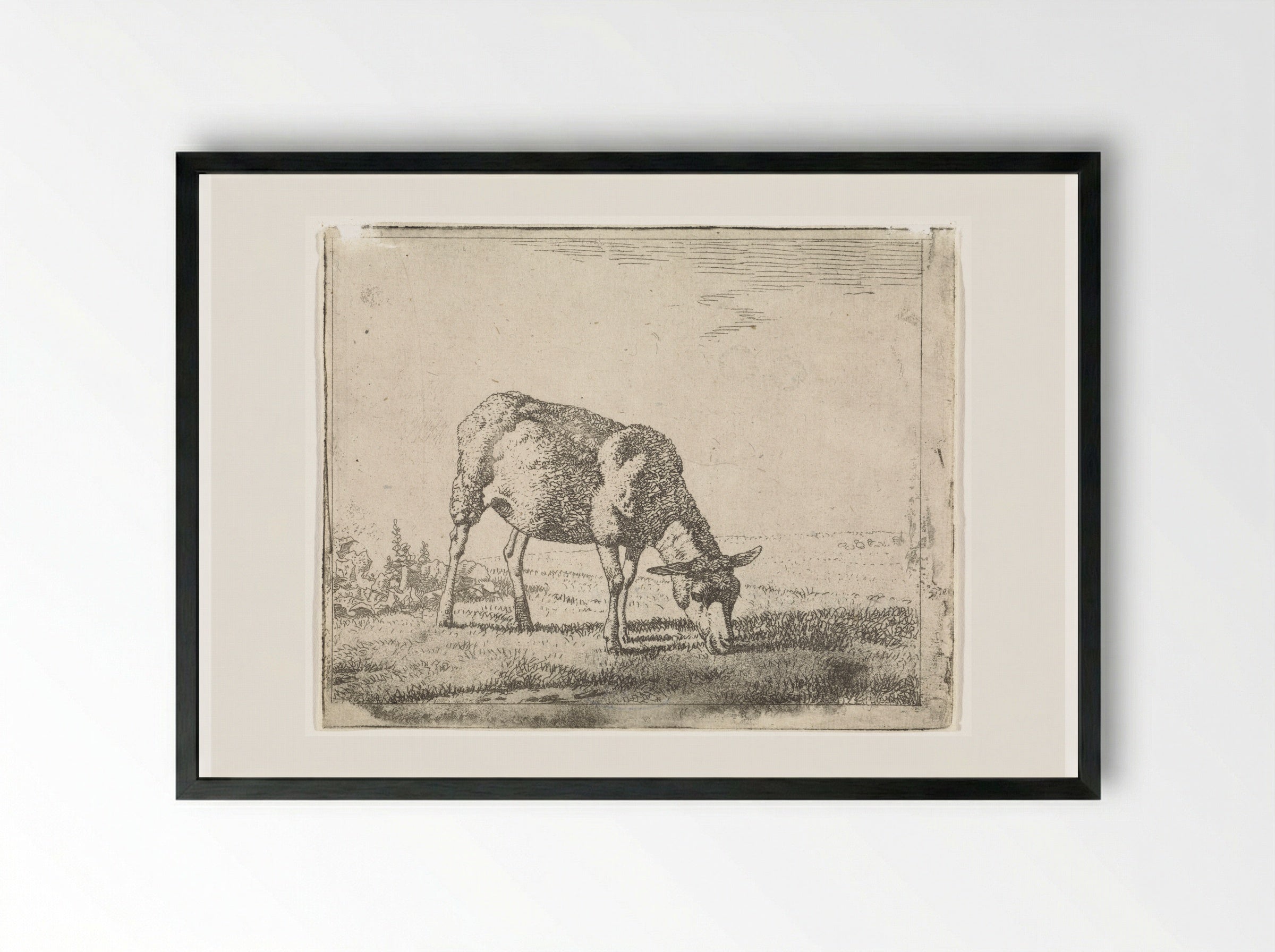 Grazing Sheep Facing Right - Wouter Johannes van Troostwijk - Framed Print Black