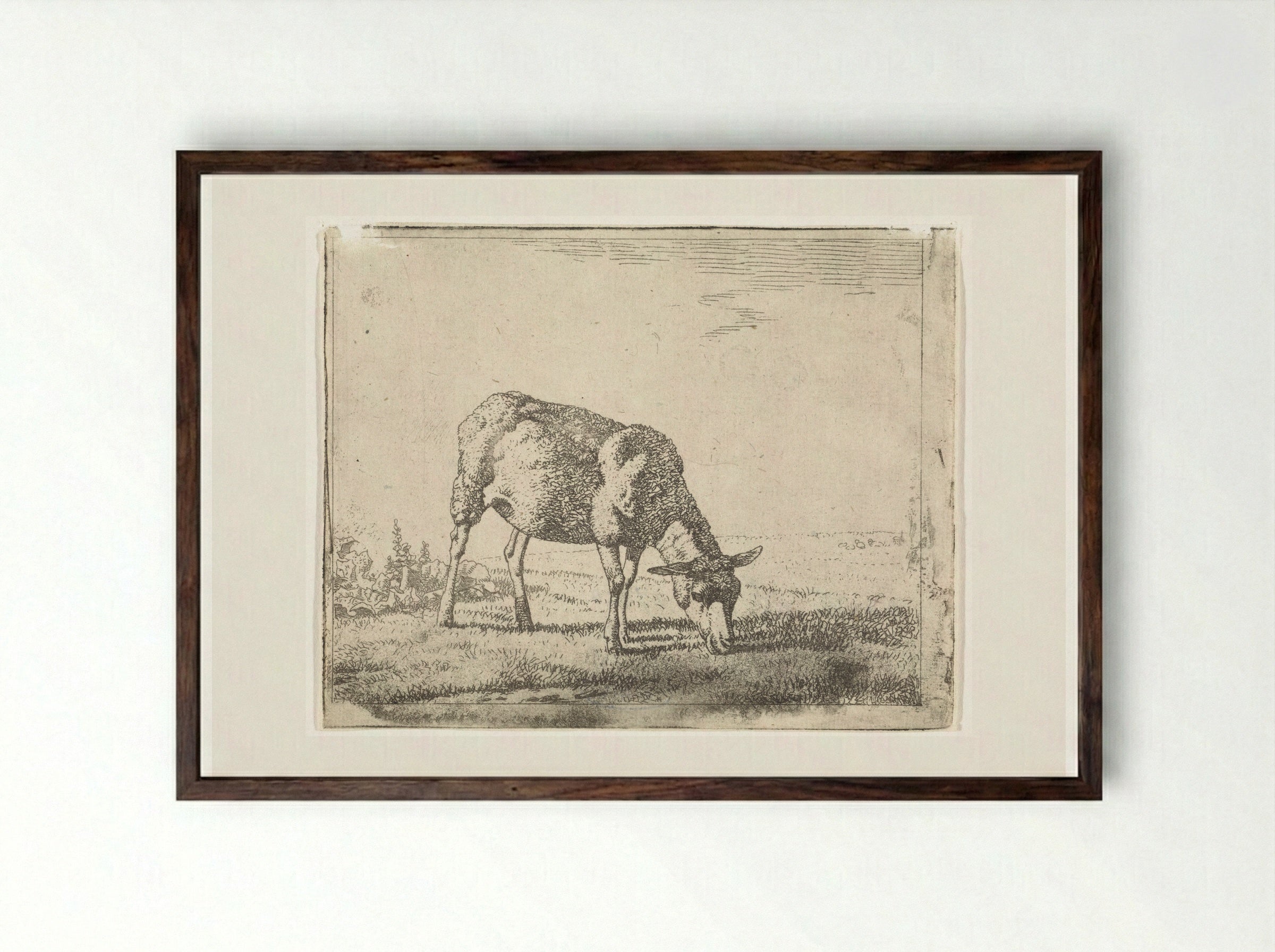 Grazing Sheep Facing Right - Wouter Johannes van Troostwijk - Framed Print Dark Wood