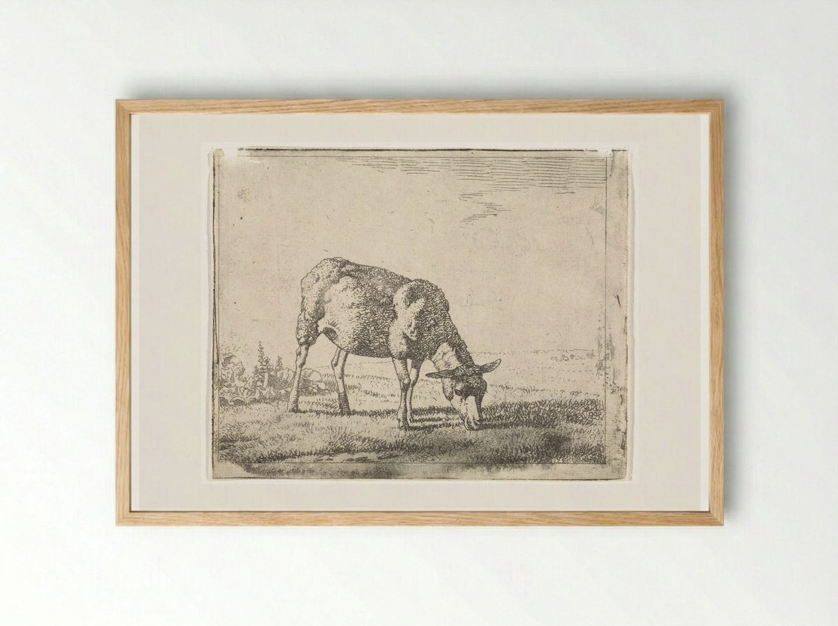 Grazing Sheep Facing Right - Wouter Johannes van Troostwijk - Framed Print Wood
