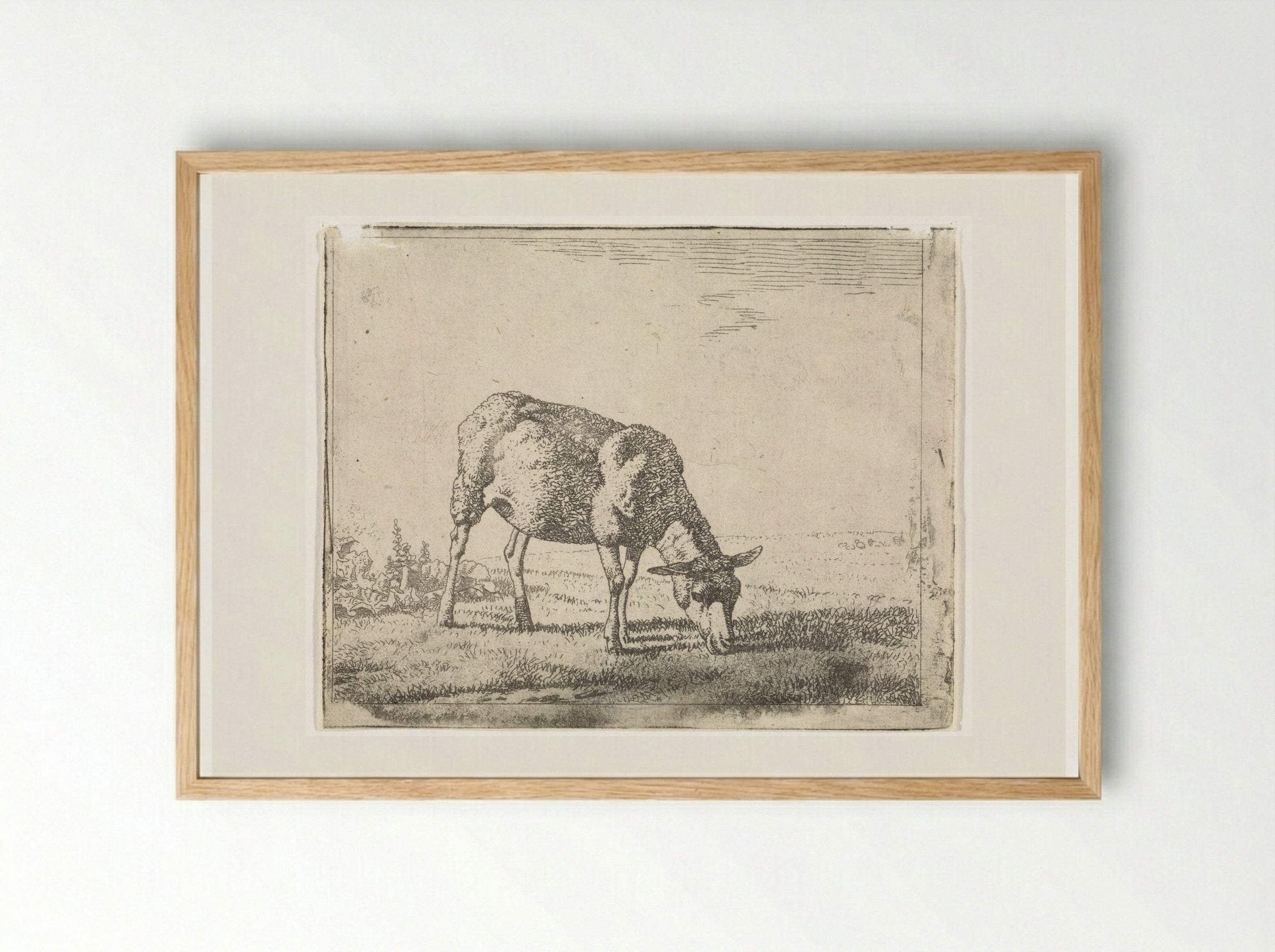 Grazing Sheep Facing Right - Wouter Johannes van Troostwijk - Framed Print Wood