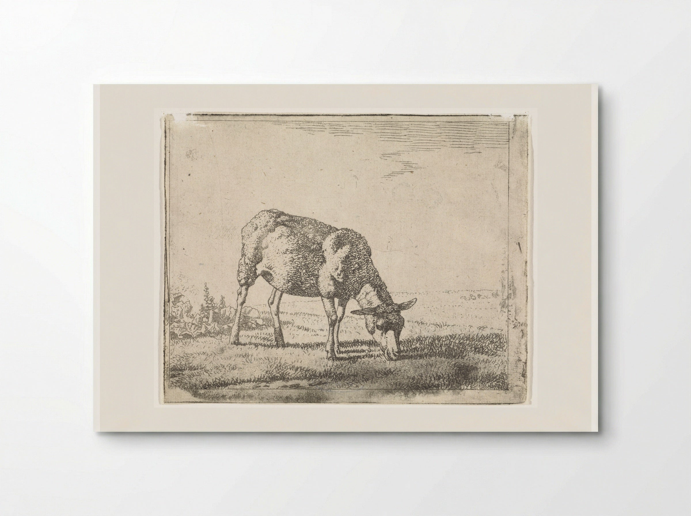Grazing Sheep Facing Right - Wouter Johannes van Troostwijk - Poster