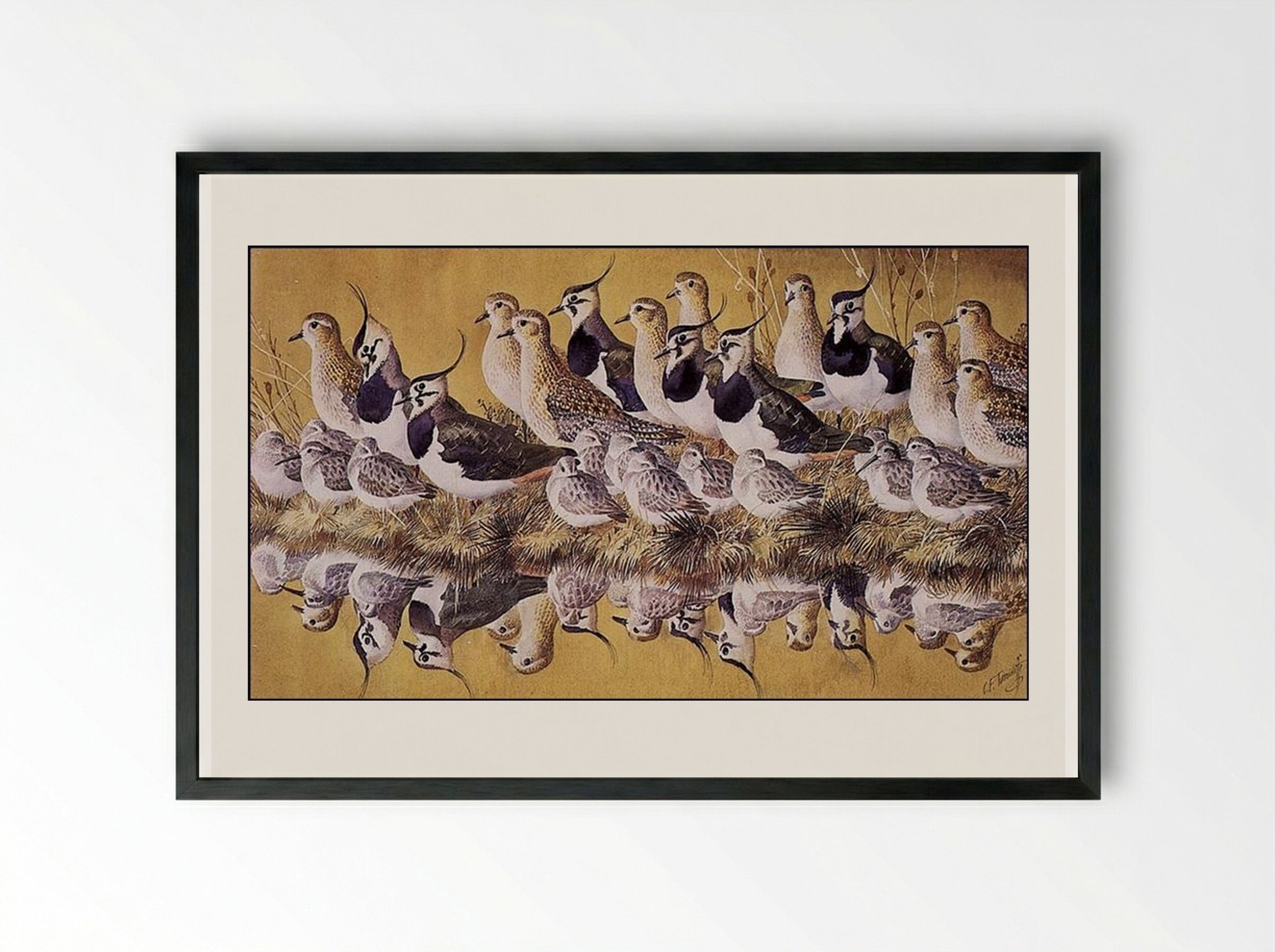 Green Gold And Dun - Charles Tunnicliffe - Framed Print Black