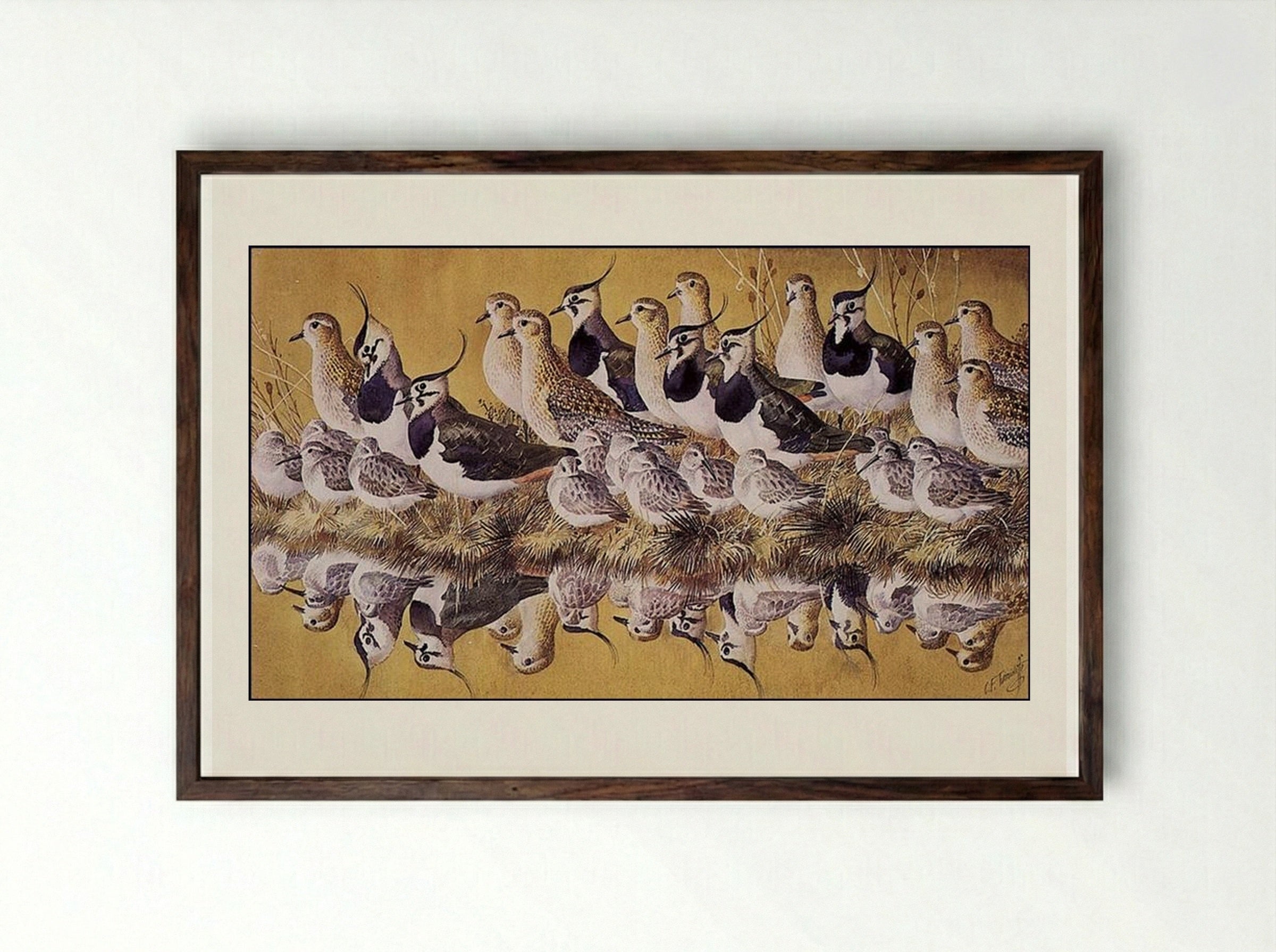 Green Gold And Dun - Charles Tunnicliffe - Framed Print Dark Wood