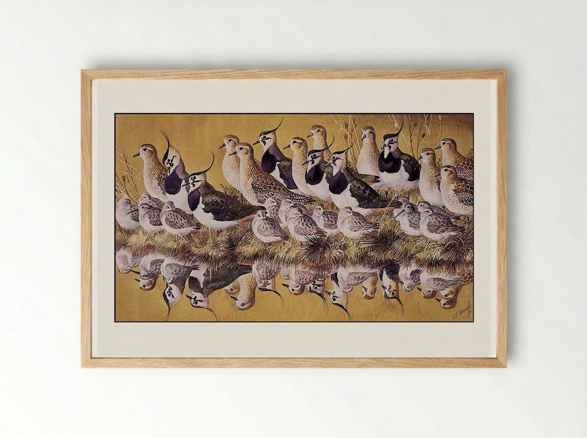 Green Gold And Dun - Charles Tunnicliffe - Framed Print Wood