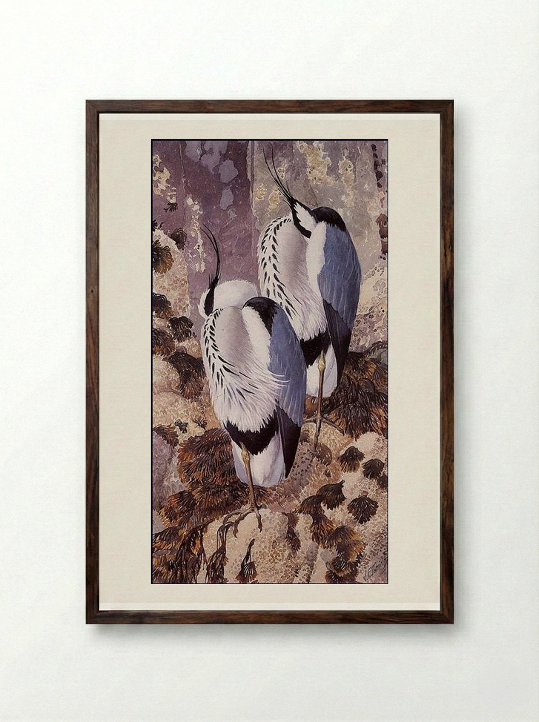 Grey Herons - Charles Tunnicliffe - Framed Print Dark Wood