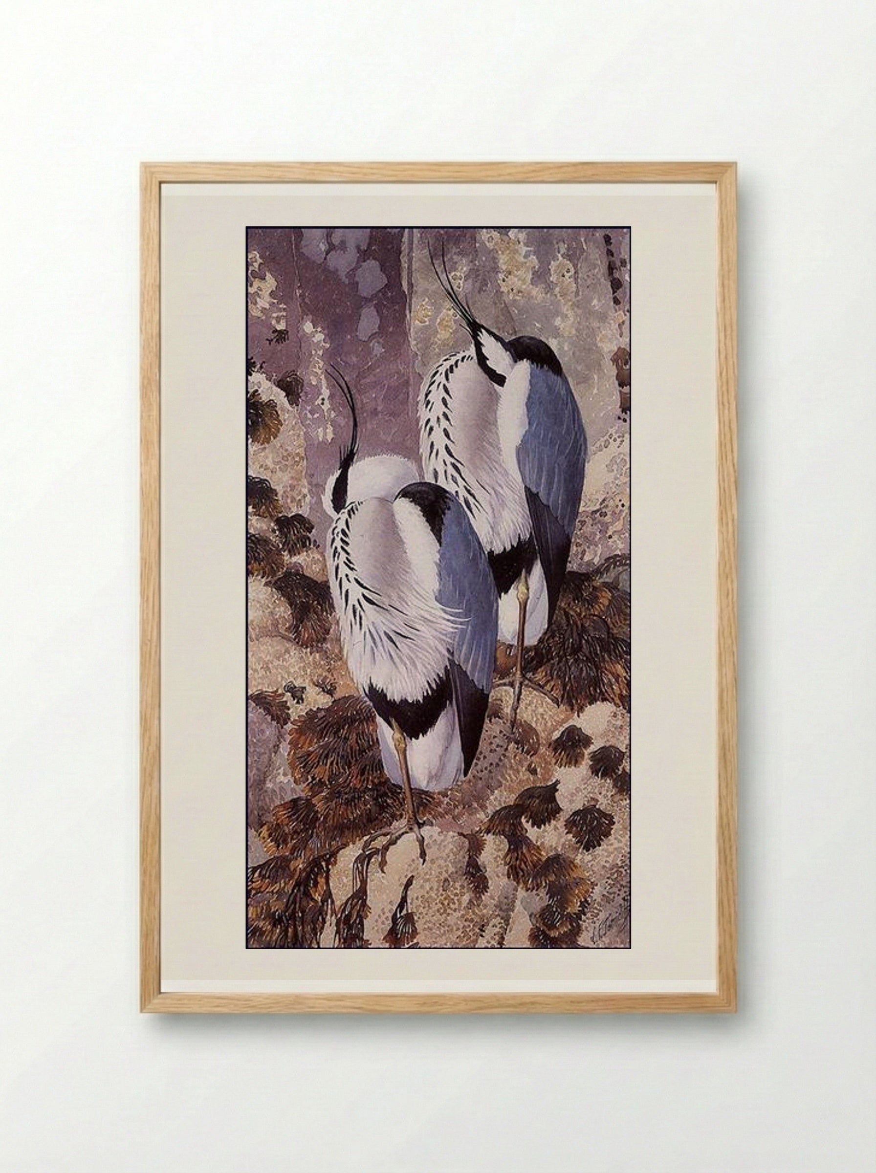 Grey Herons - Charles Tunnicliffe - Framed Print Wood