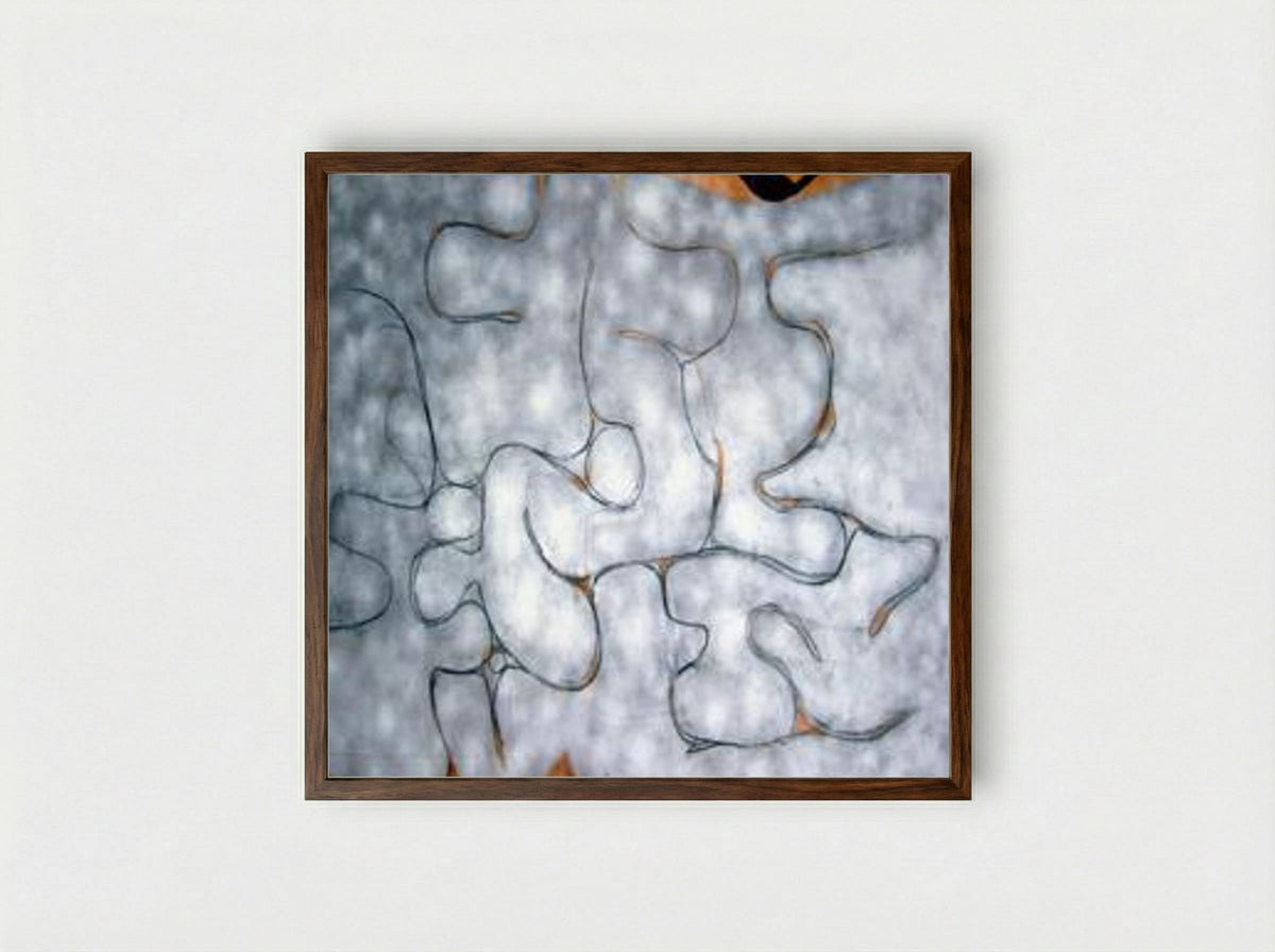 Grey Symphony - Victor Pasmore - Framed Print Dark Wood