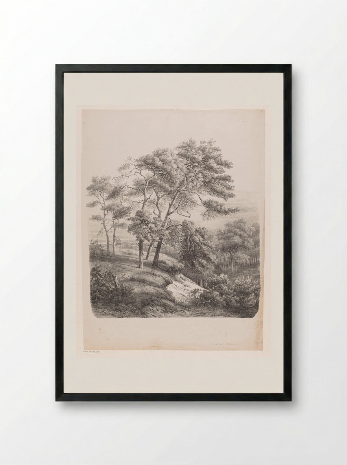 Groep bomen in een heuvelachtig landschap - Maurits E.H.R. van den Kerkhoff - Framed Print Black