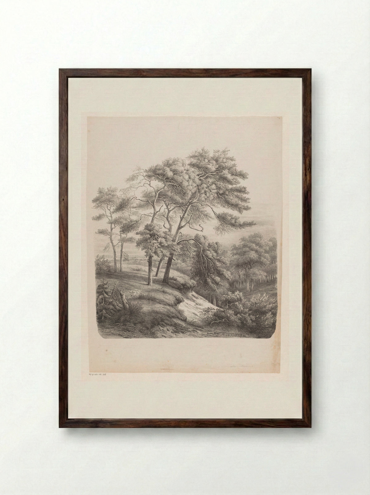 Groep bomen in een heuvelachtig landschap - Maurits E.H.R. van den Kerkhoff - Framed Print Dark Wood