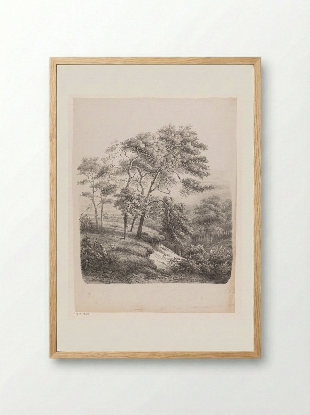 Groep bomen in een heuvelachtig landschap - Maurits E.H.R. van den Kerkhoff - Framed Print Wood