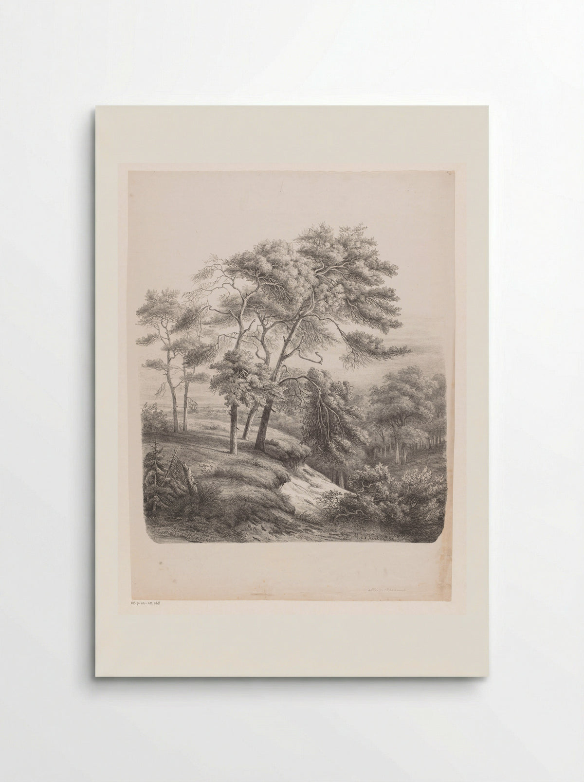 Groep bomen in een heuvelachtig landschap - Maurits E.H.R. van den Kerkhoff - Poster