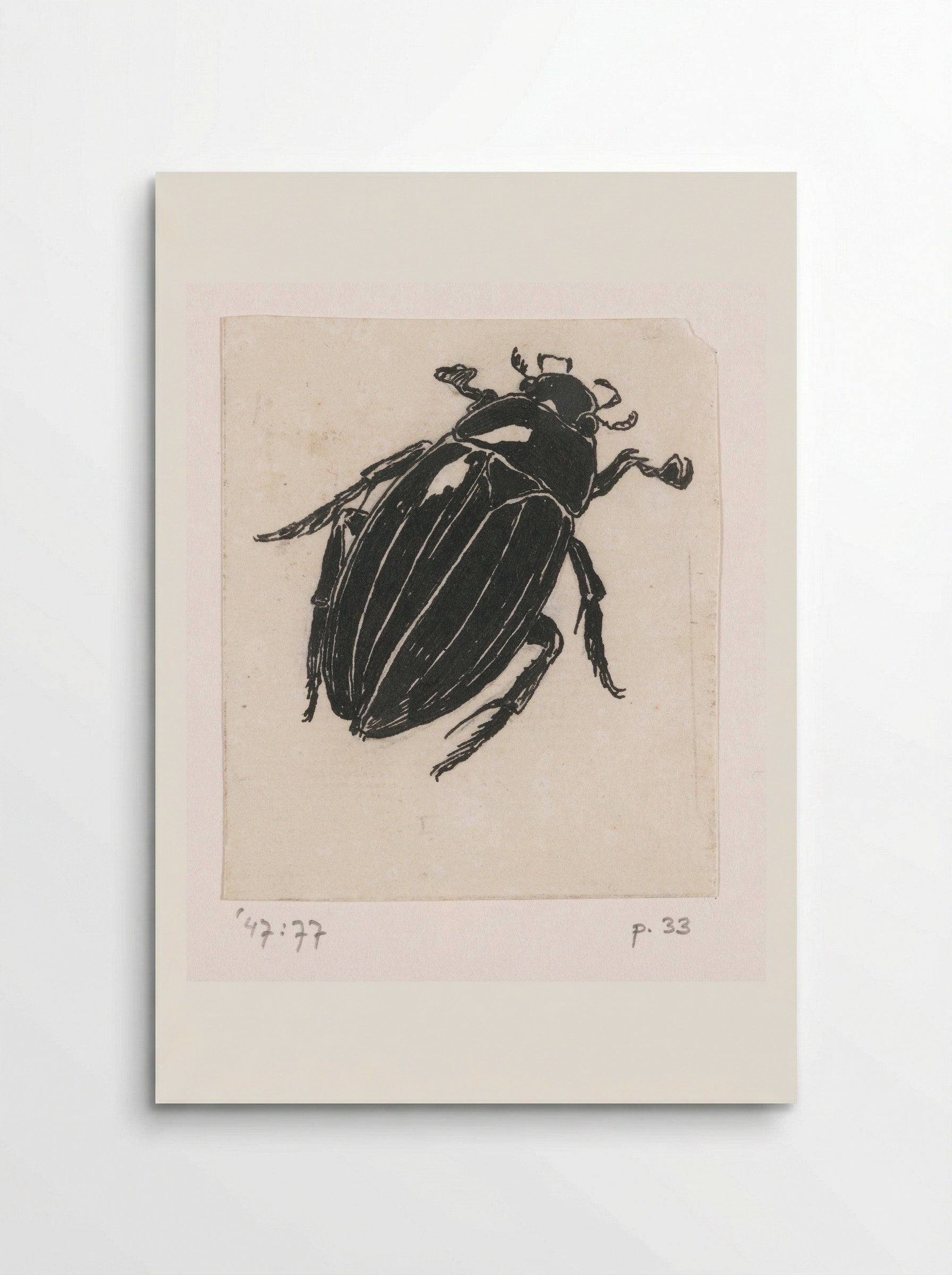 Grote spintor (Great Diving Beetle) - Willem Wenckebach - Poster