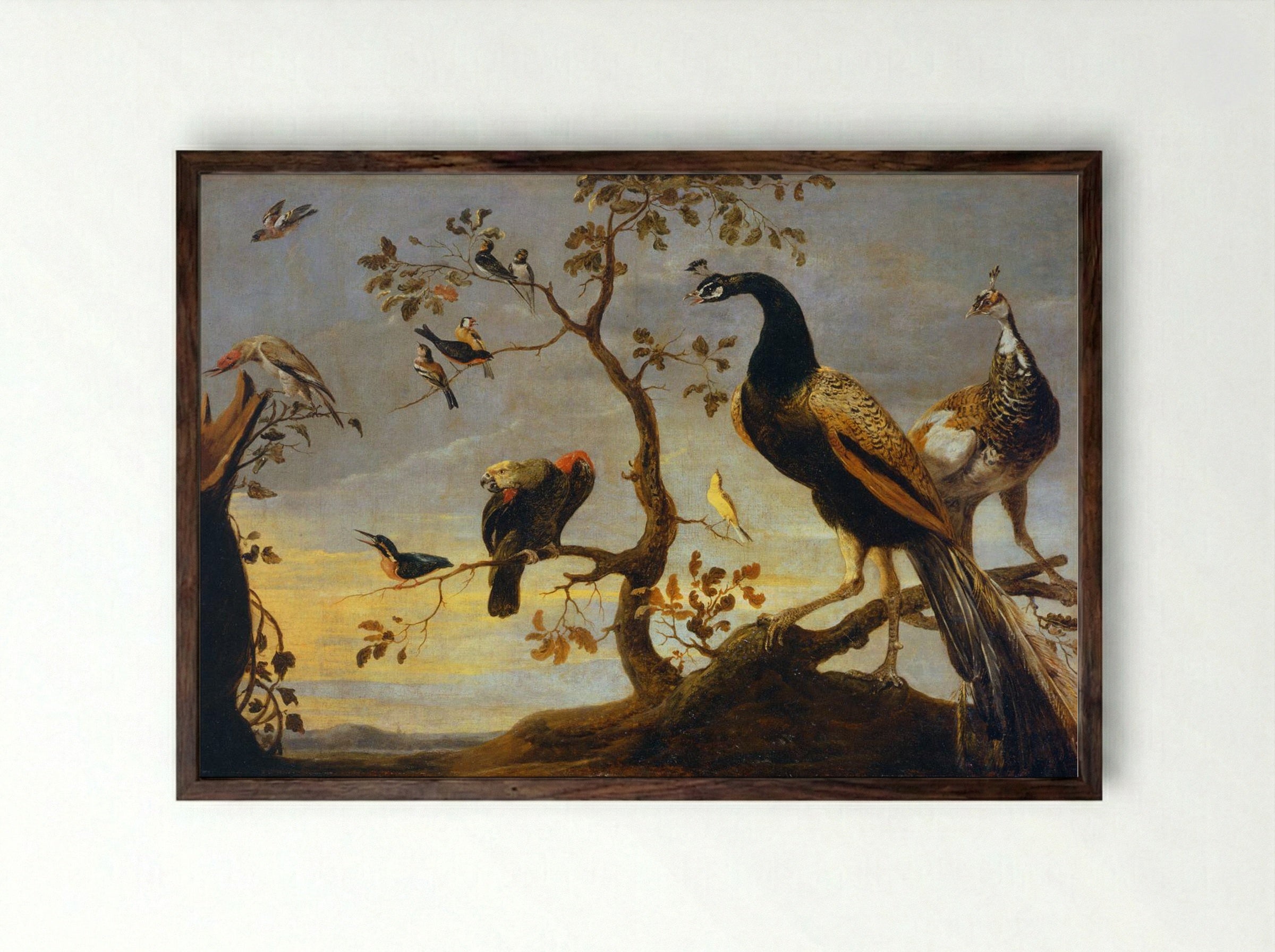 Group of Birds Perched on Branches - Frans Snyders - Framed Print Dark Wood
