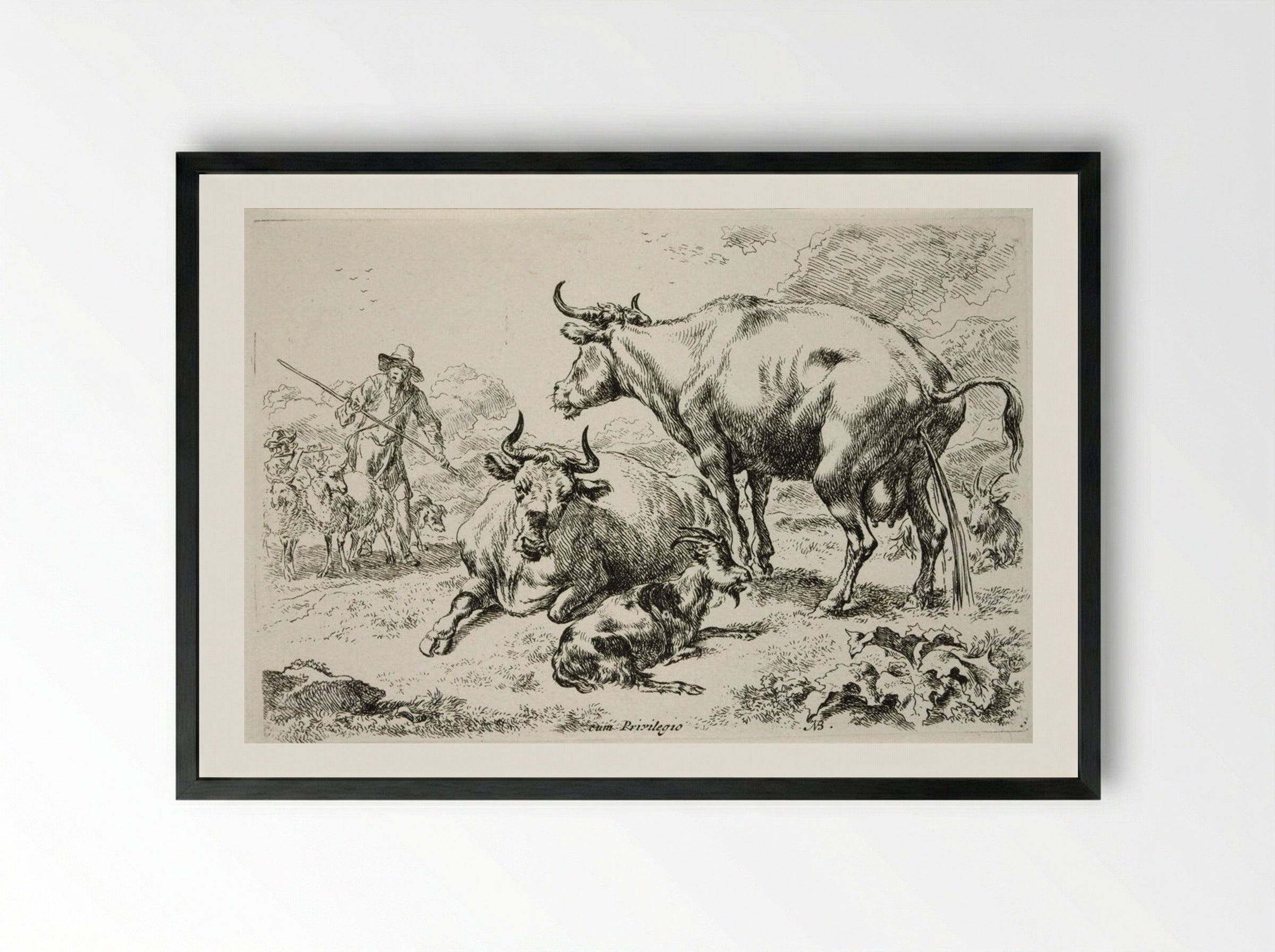 Group of Cows, One Urinating - Nicolaes Berchem the Elder - Framed Print Black