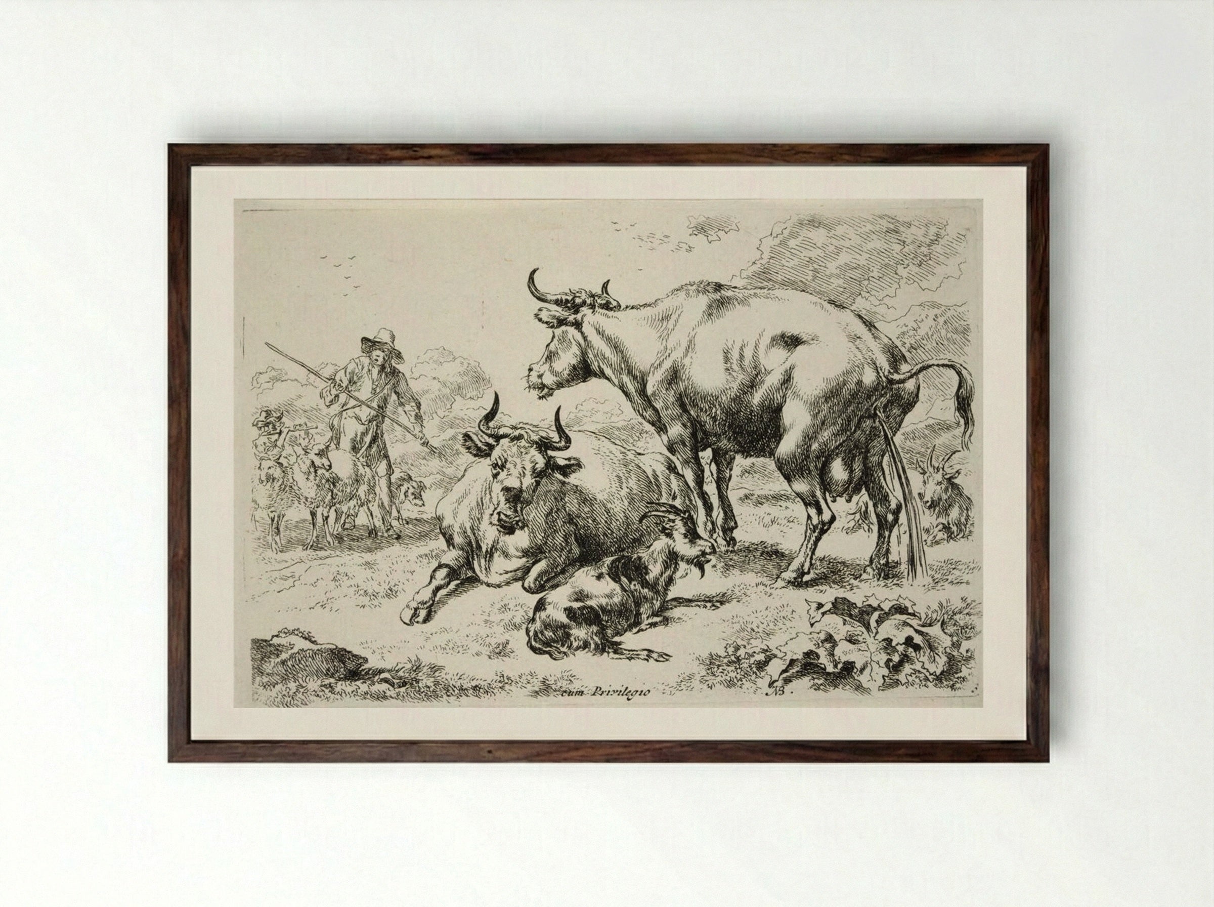 Group of Cows, One Urinating - Nicolaes Berchem the Elder - Framed Print Dark Wood